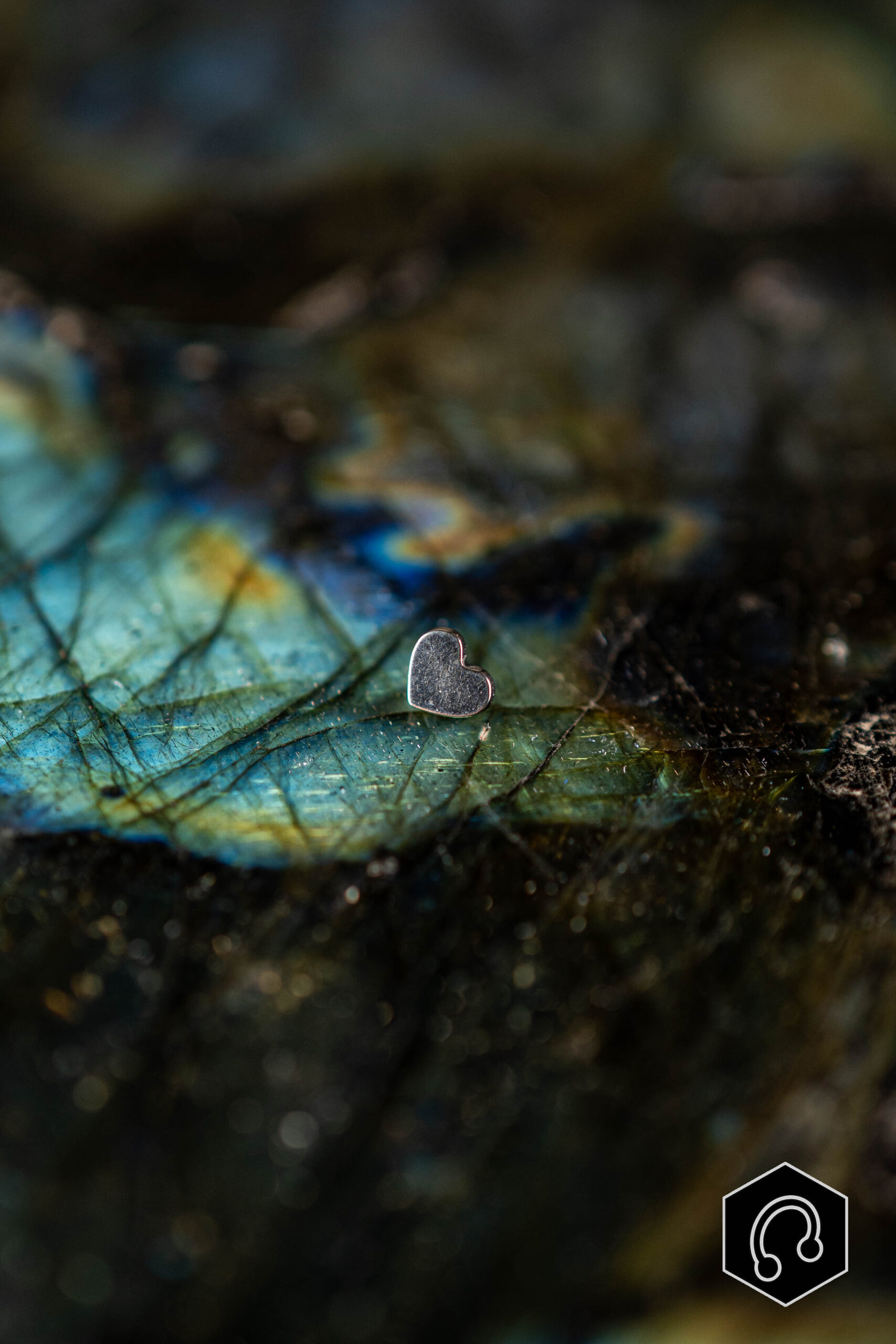 Labret Titane Argenté Little Heart