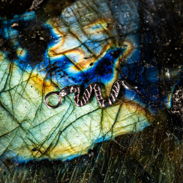 Charm Titane Argenté Snake