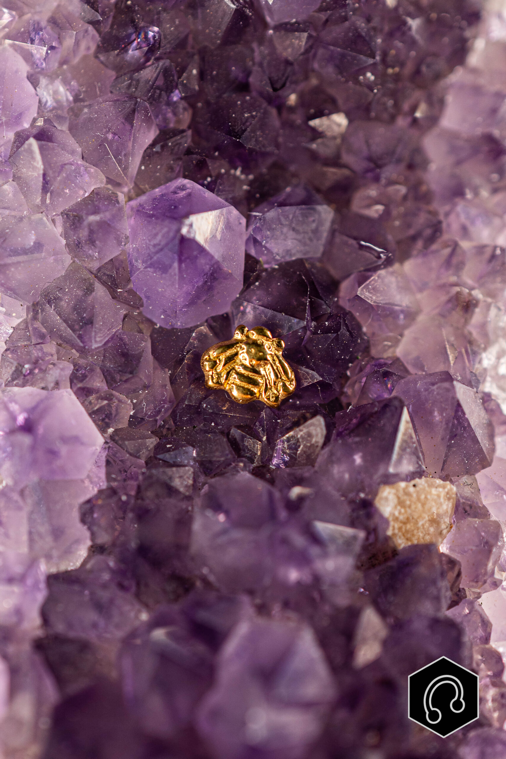 La boutique du perceur