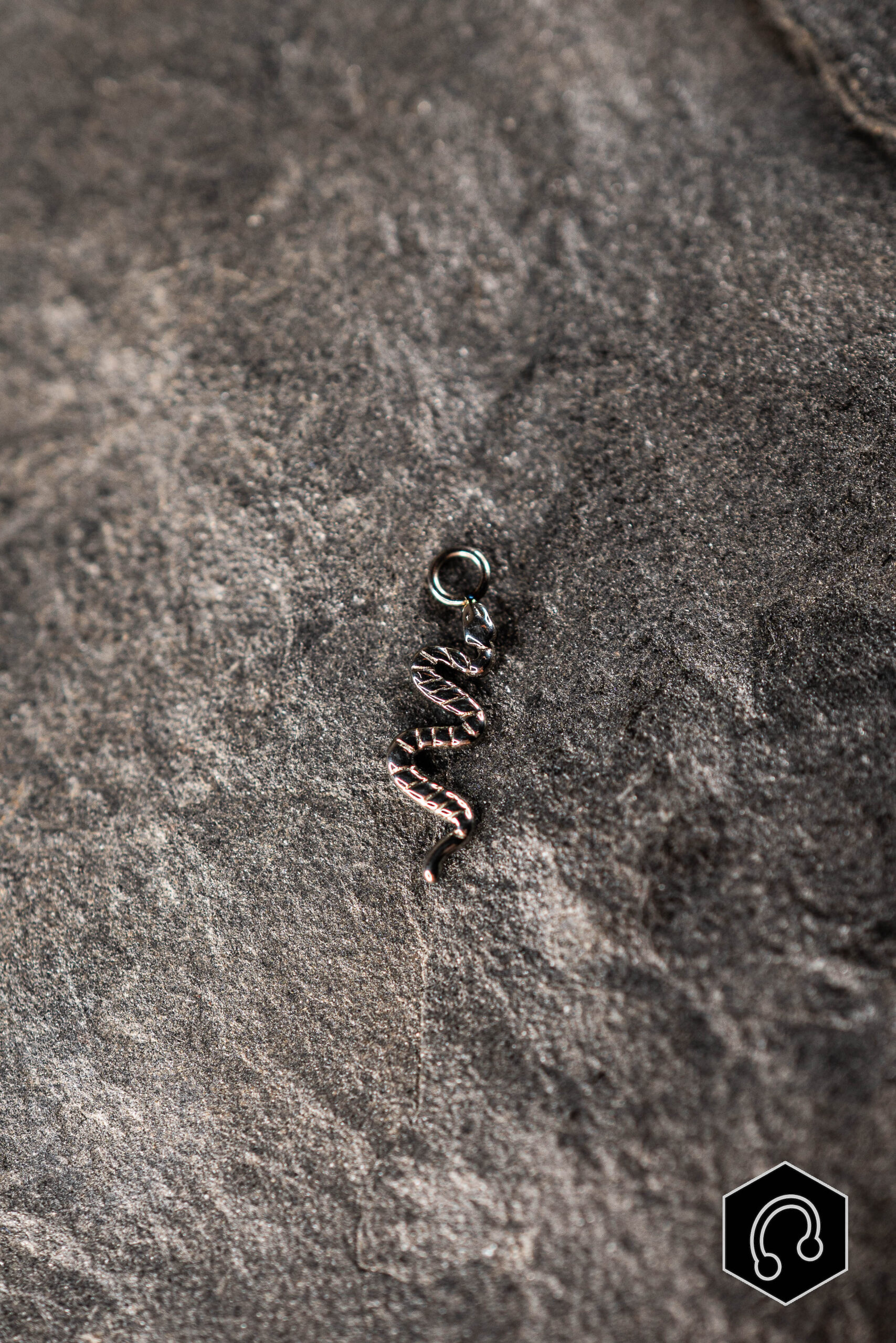 Charm Titane Argenté Snake