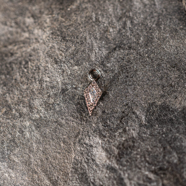 Charm argenté Prism éclatant