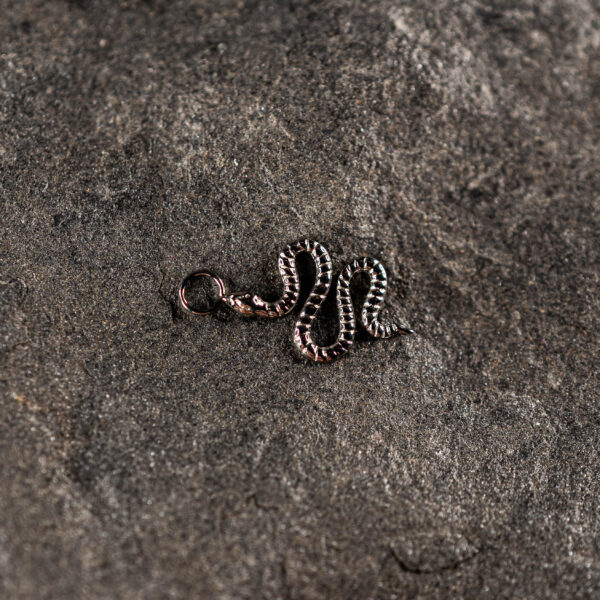 Charm Titane Argenté Sinéa