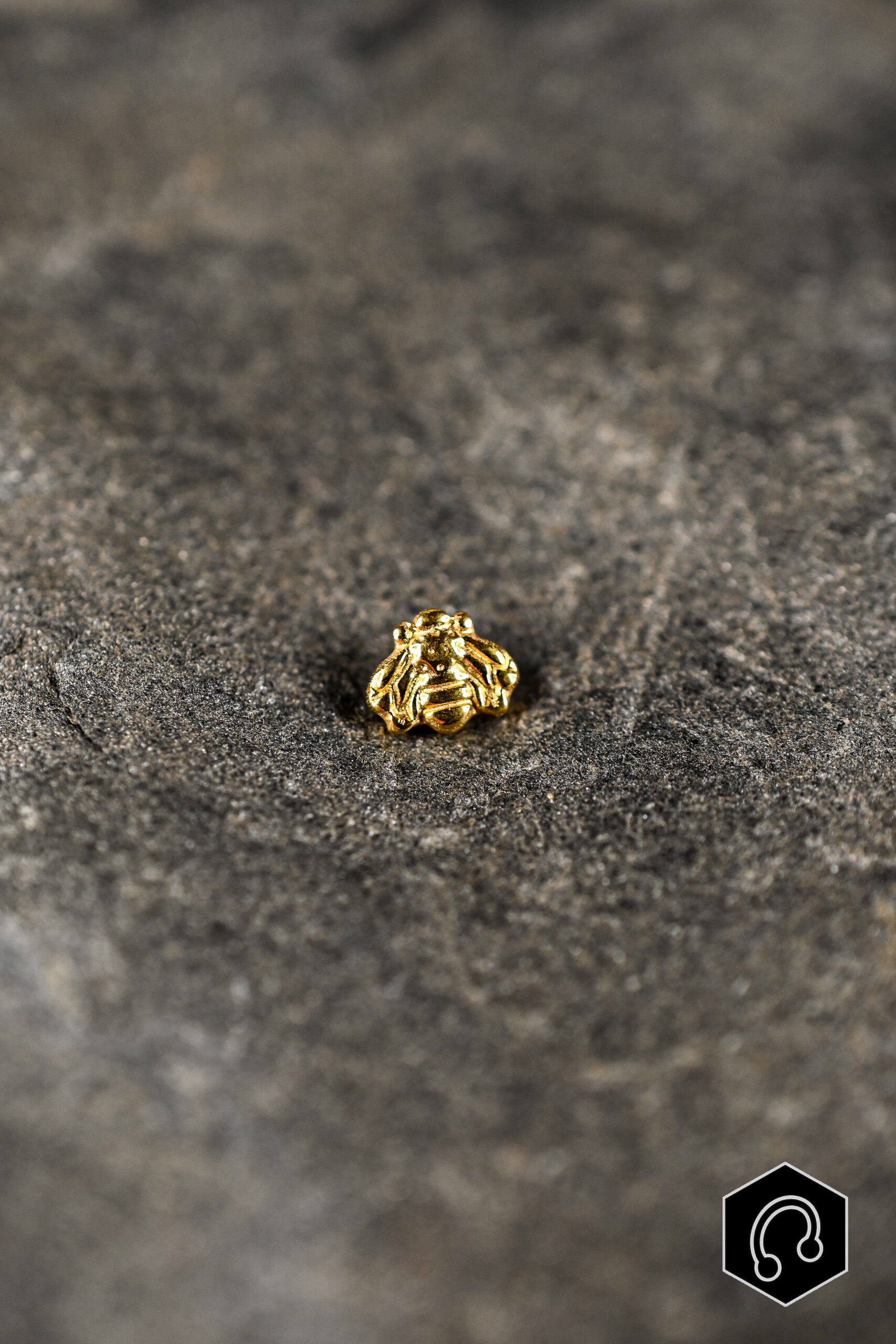 Labret Titane Doré Bee Lucky