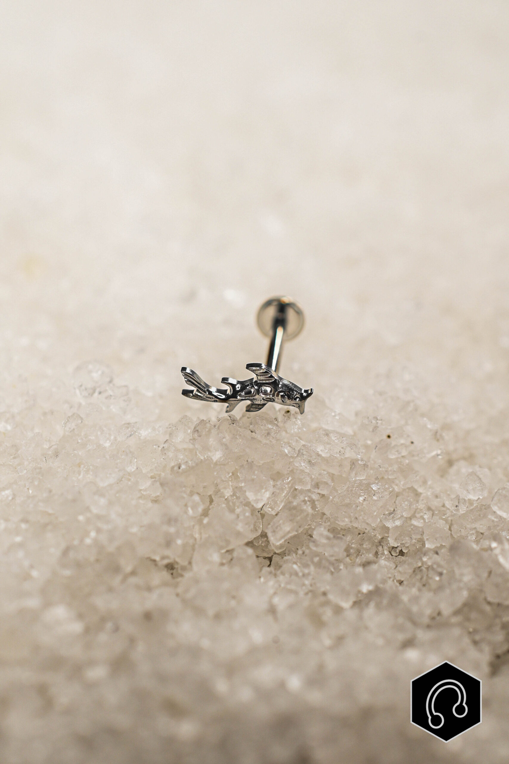 Labret Titane Argenté Koi