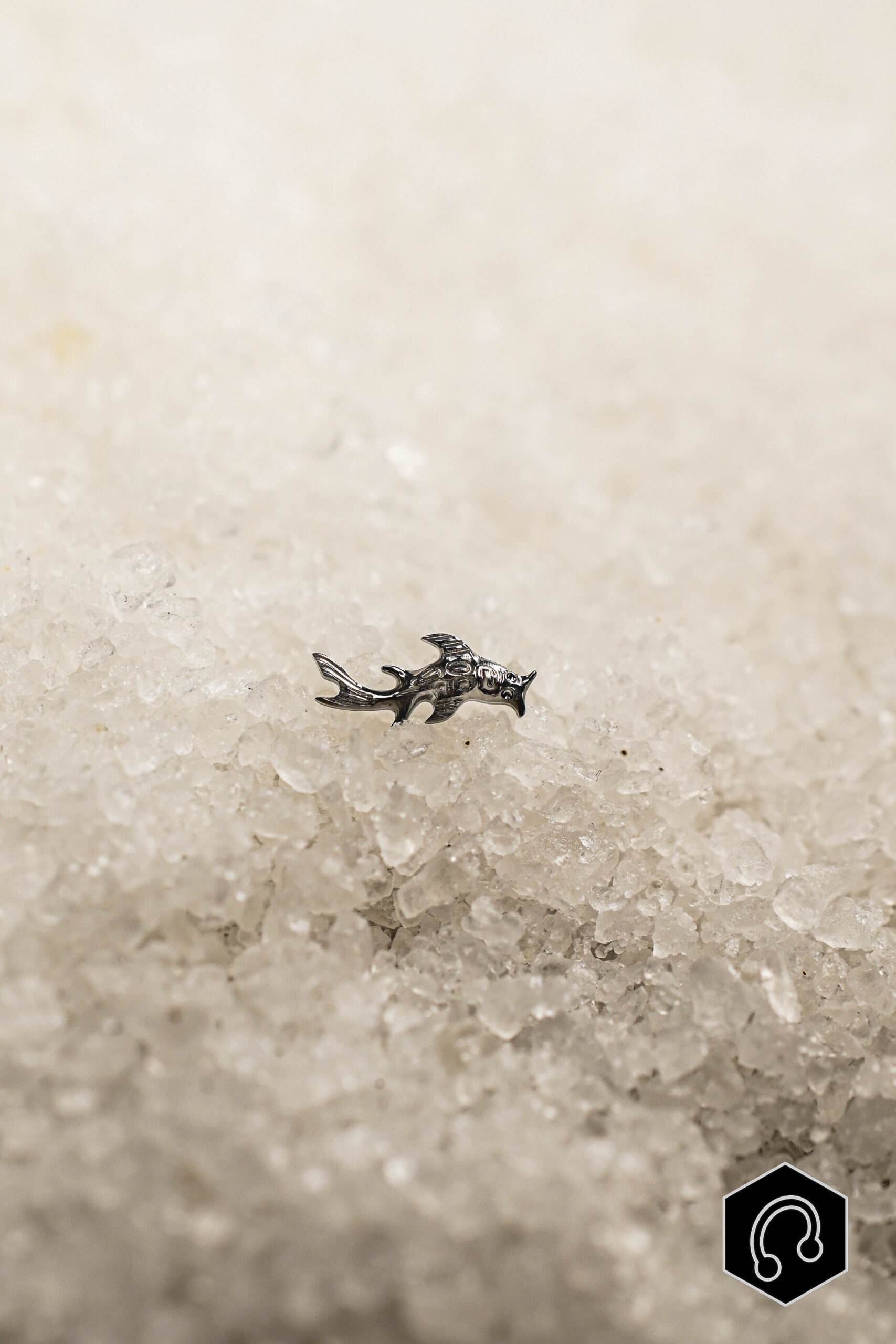 Labret Titane Argenté Koi