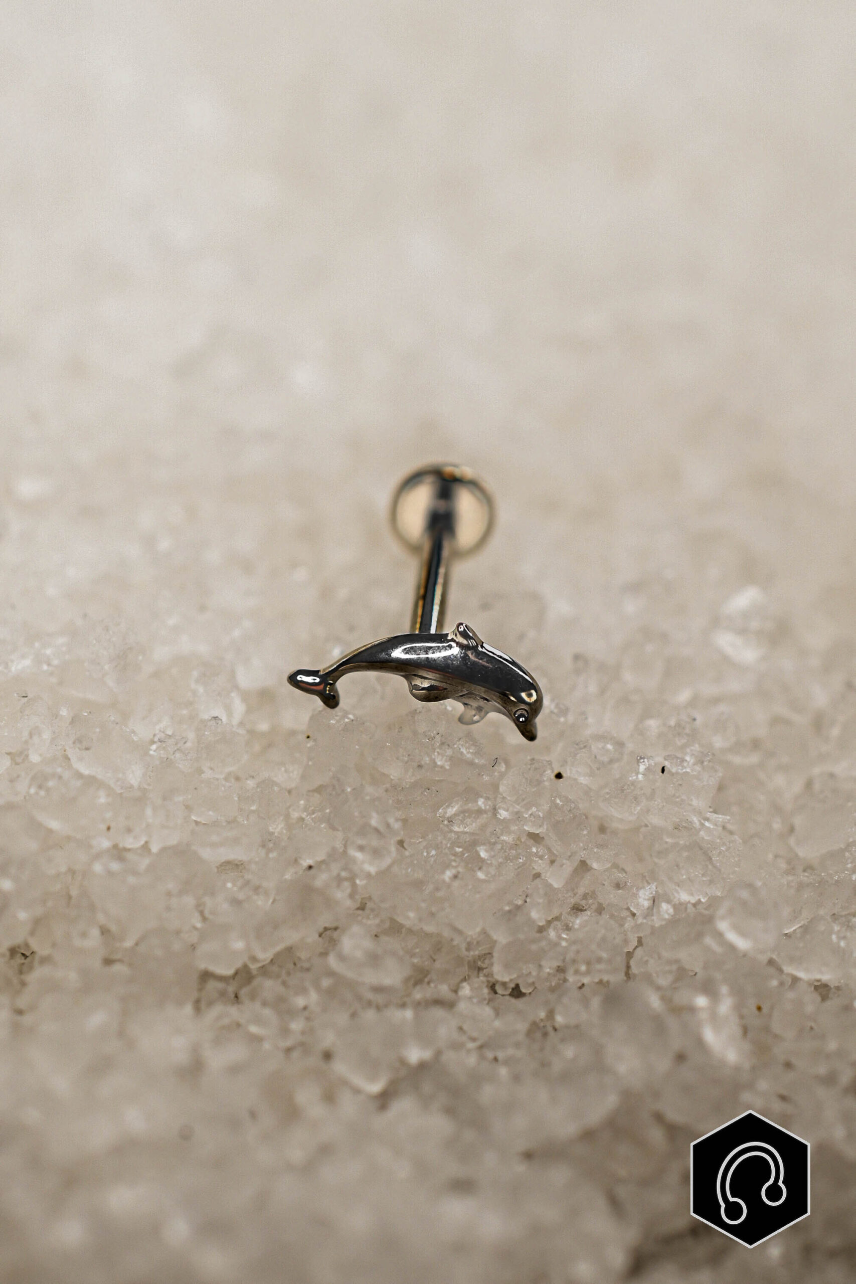 Labret Titane Argenté Ocean Spirit