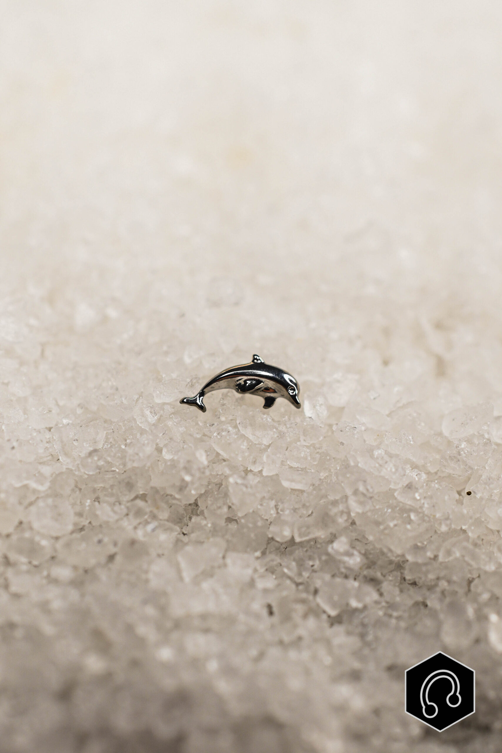 Labret Titane Argenté Ocean Spirit