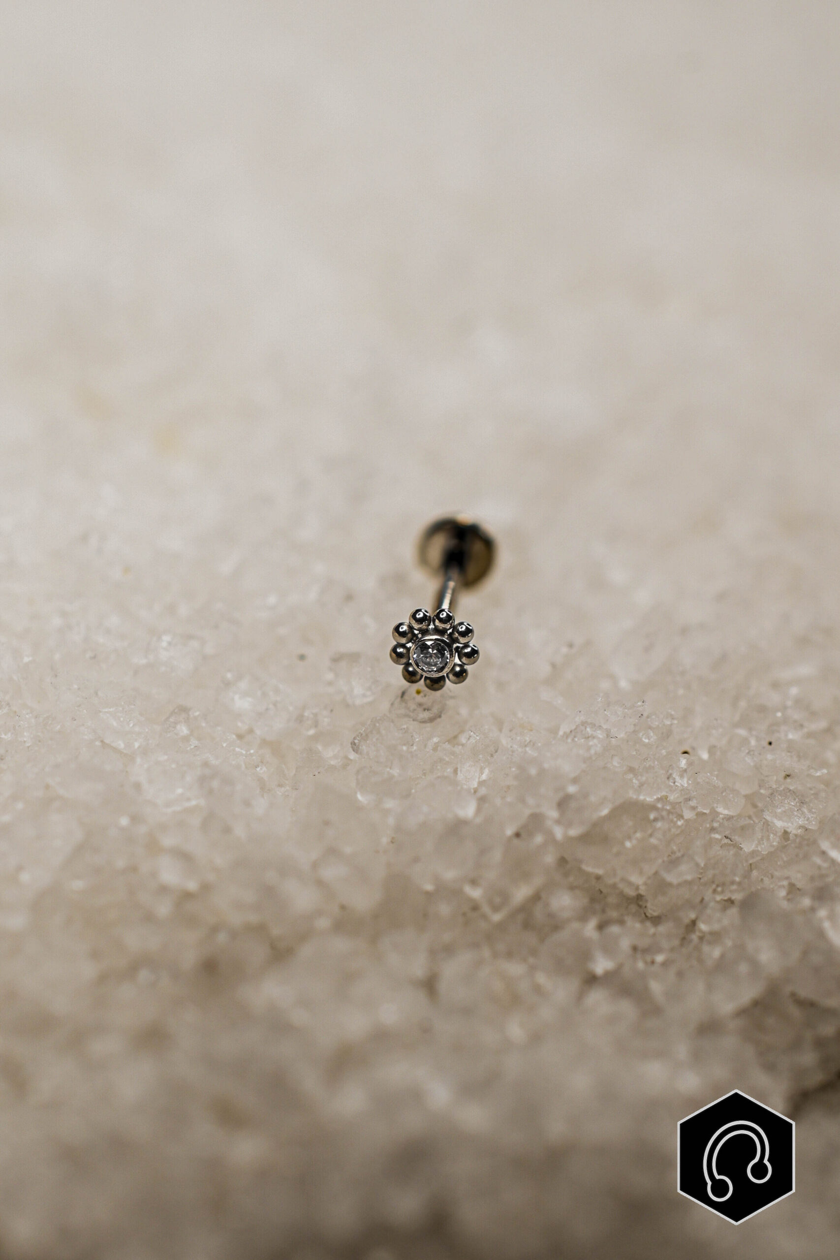 Labret Titane Argenté Bloom Light