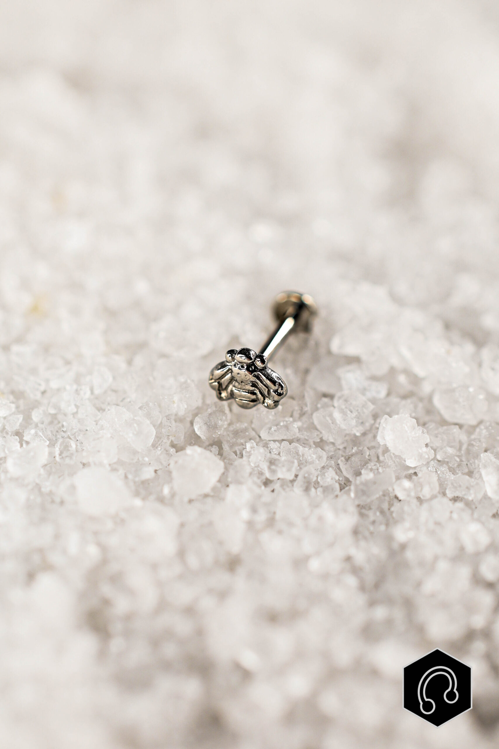 Labret Titane Argenté Bee Lucky