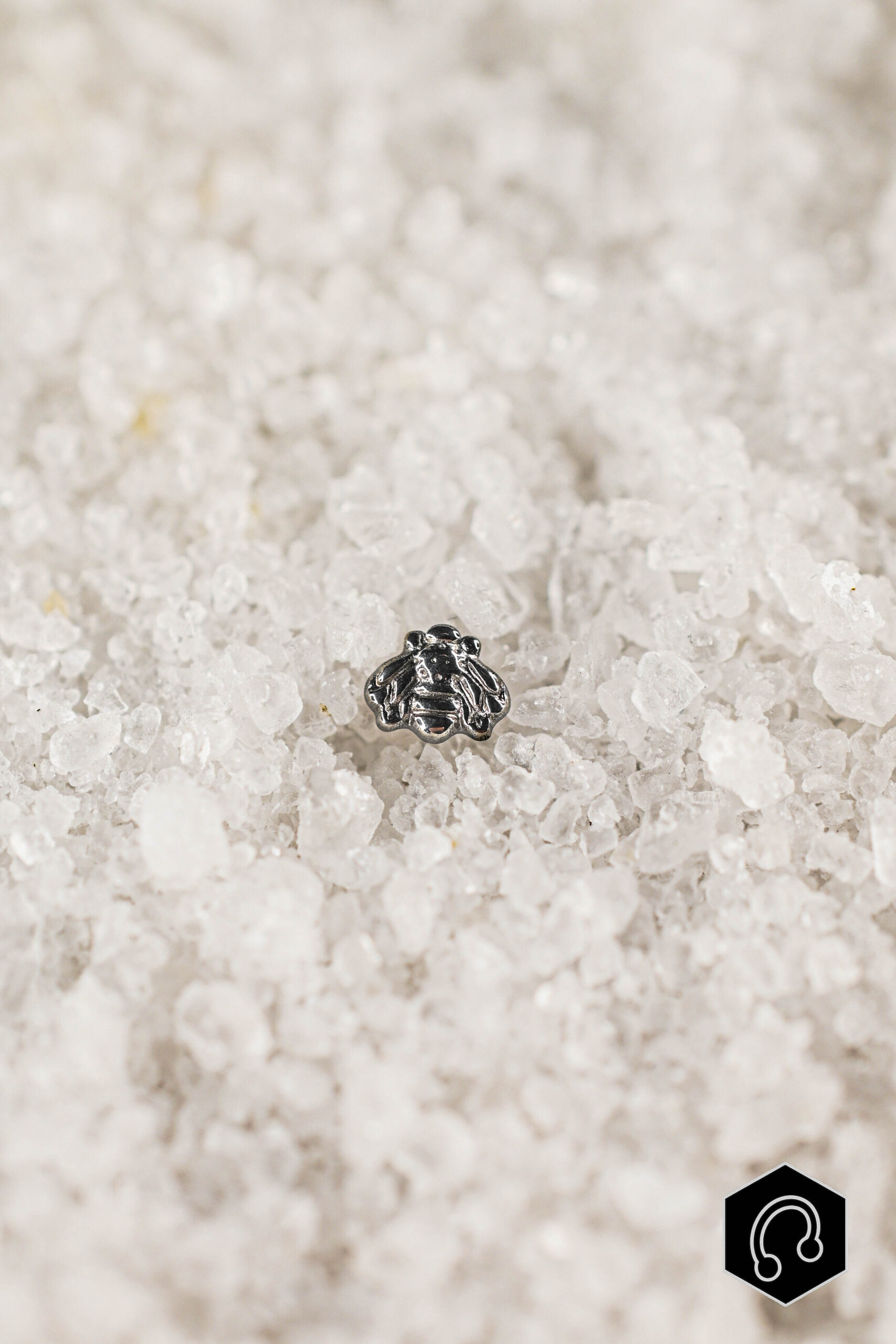 Labret Titane Argenté Bee Lucky