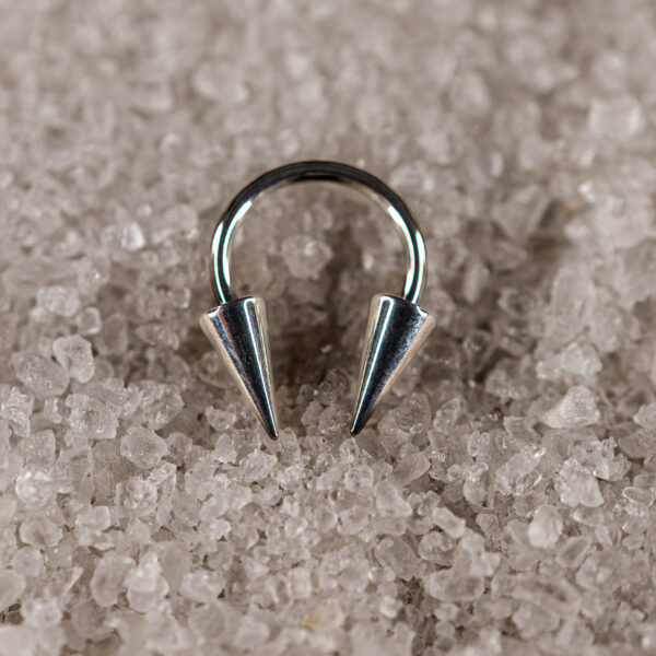 Fer à Cheval Argenté Spike