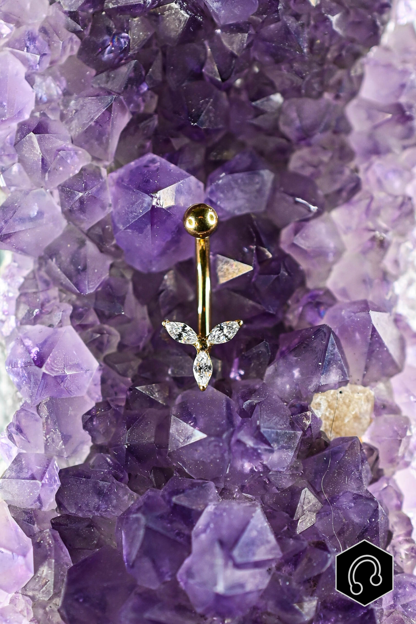 Banane Titane Doré Auréa Leaf