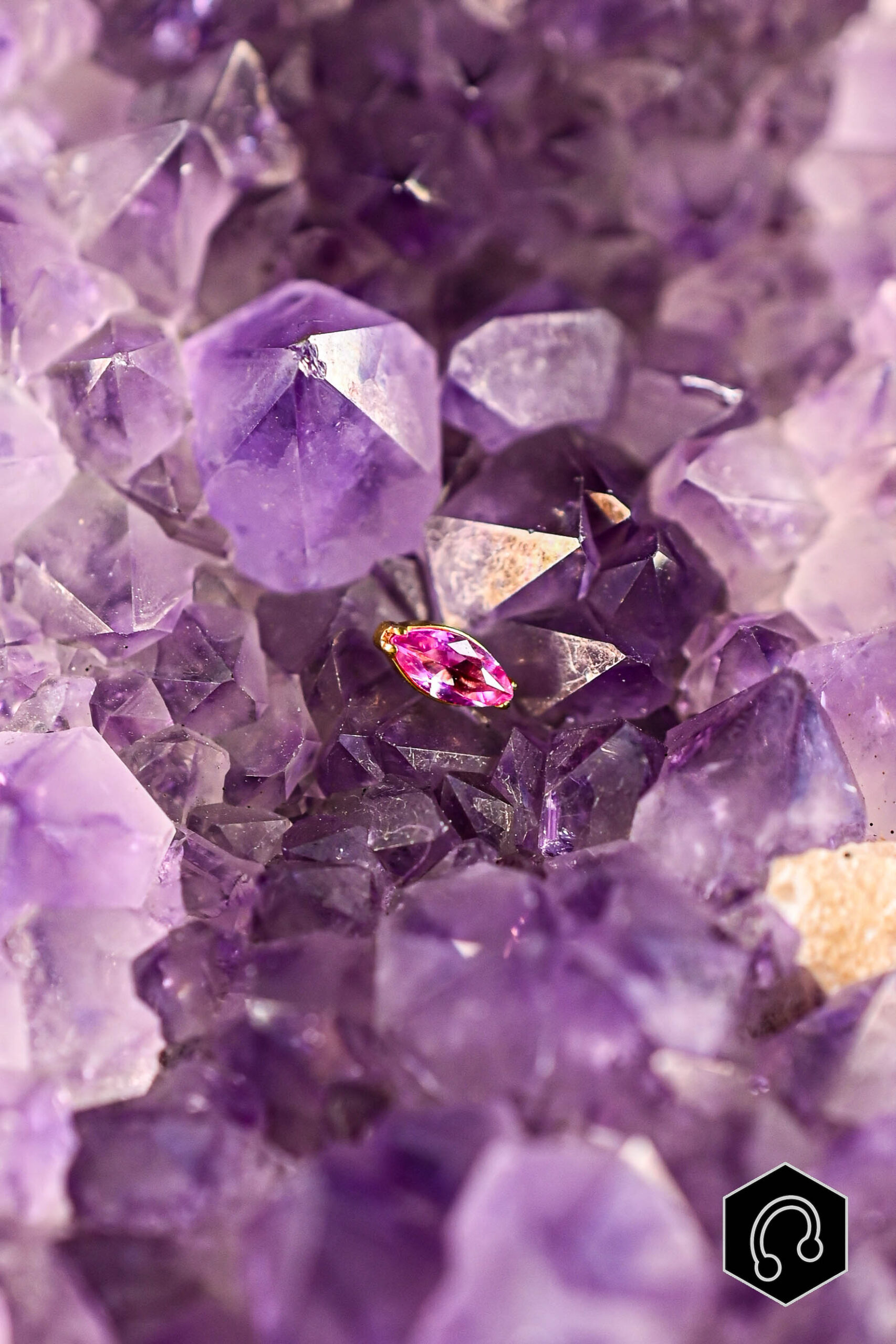 Labret Titane Doré fuchsia Whisper