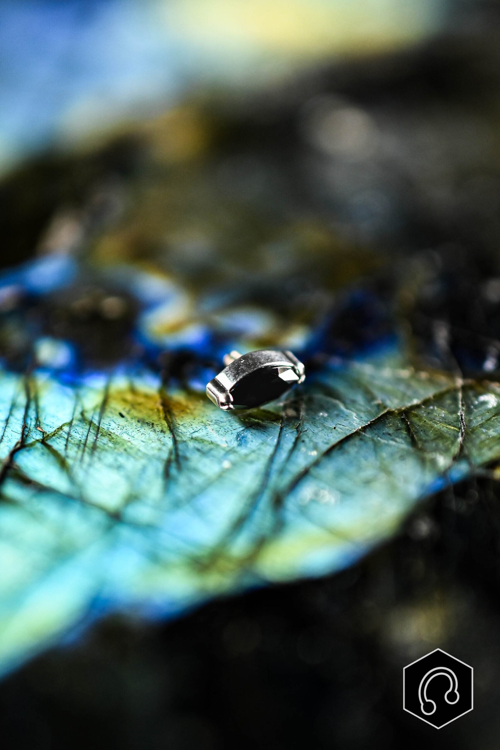 Labret Titane Argenté Noir Whisper
