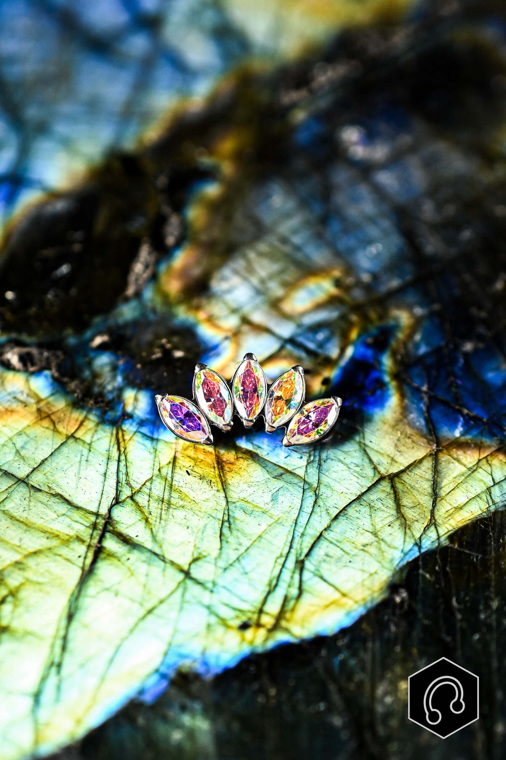 Labret Titane Velvet Crown Abalone