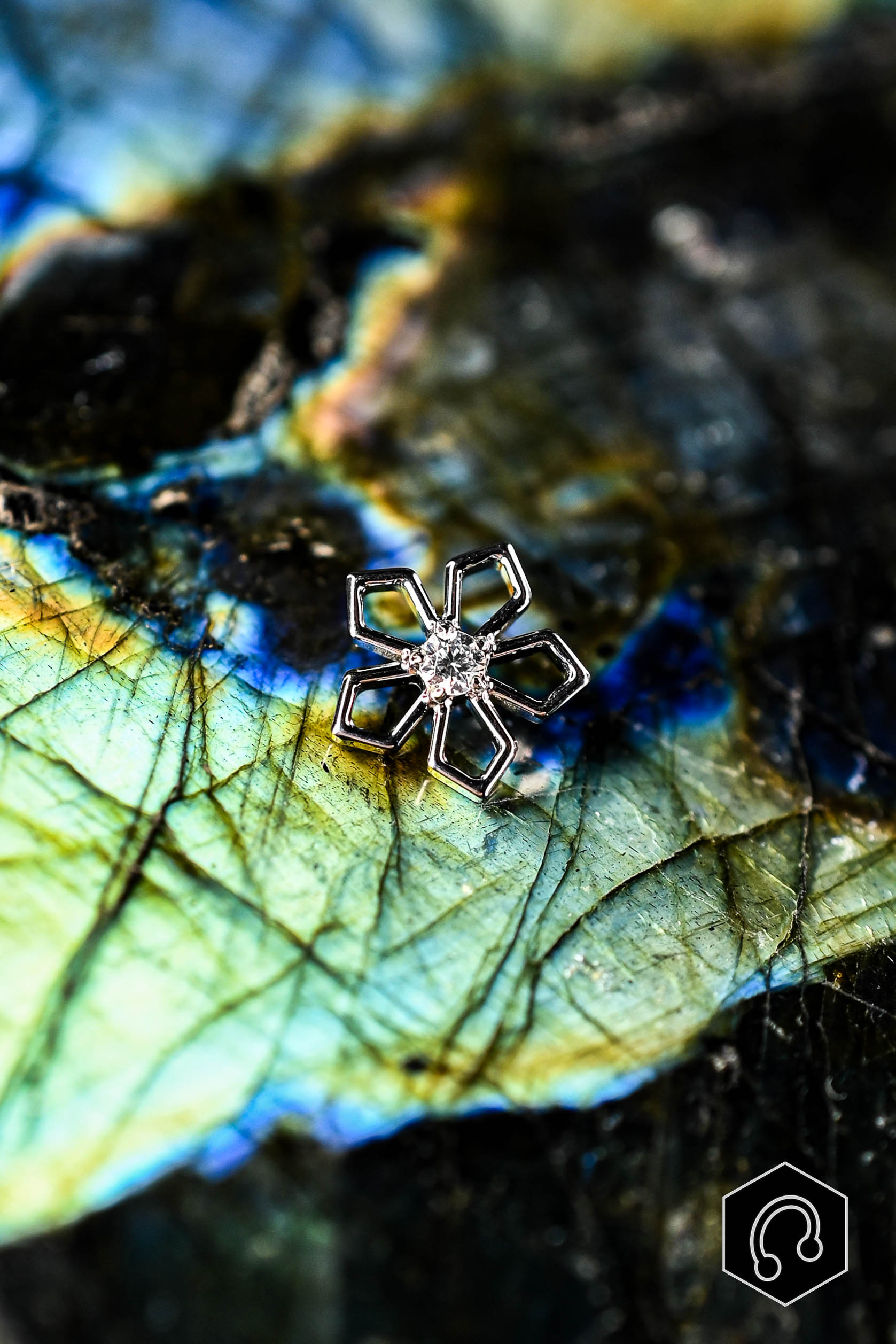 Labret Titane Argenté FlowerBloom