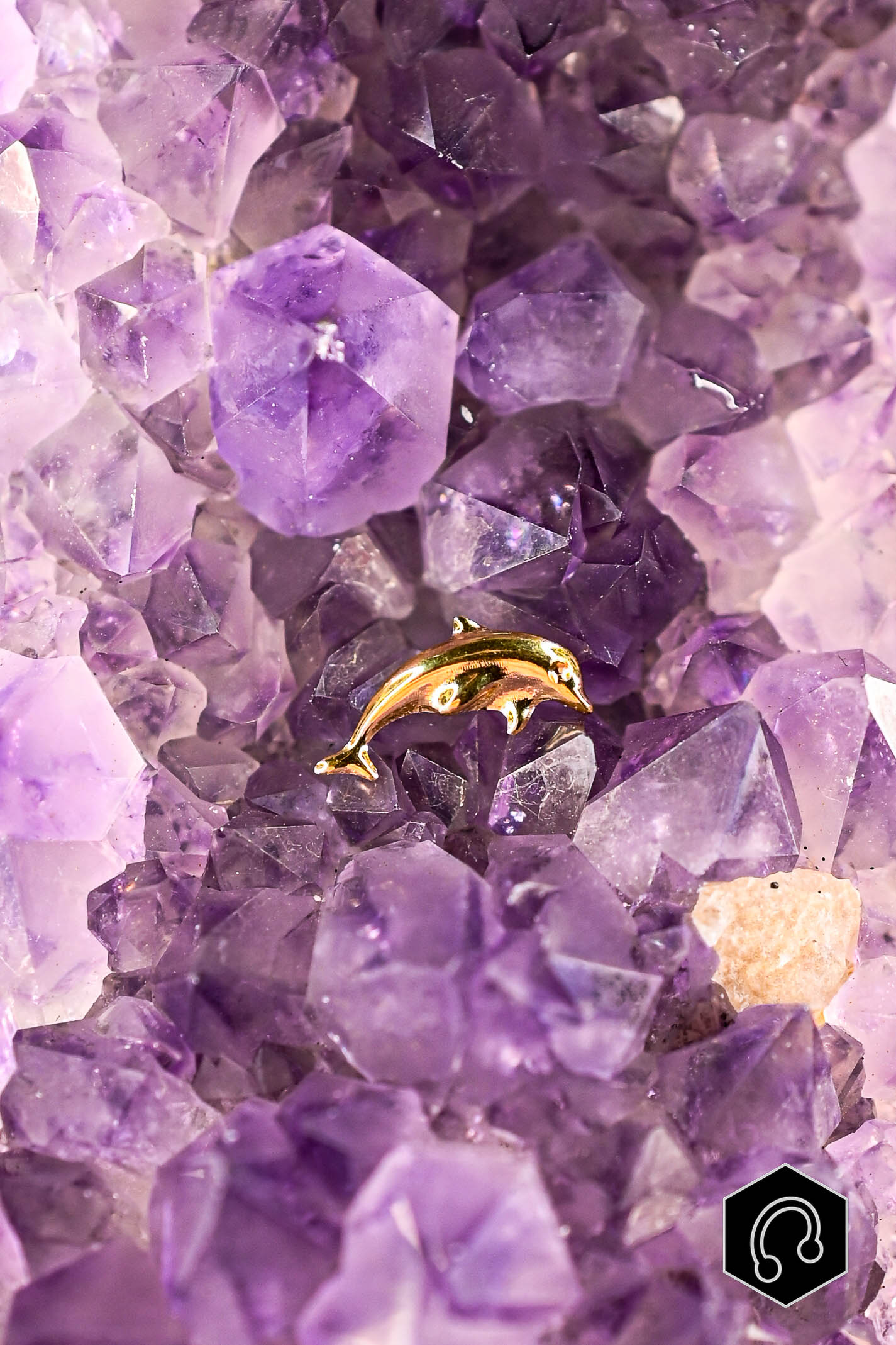 Labret Titane Doré Ocean Spirit