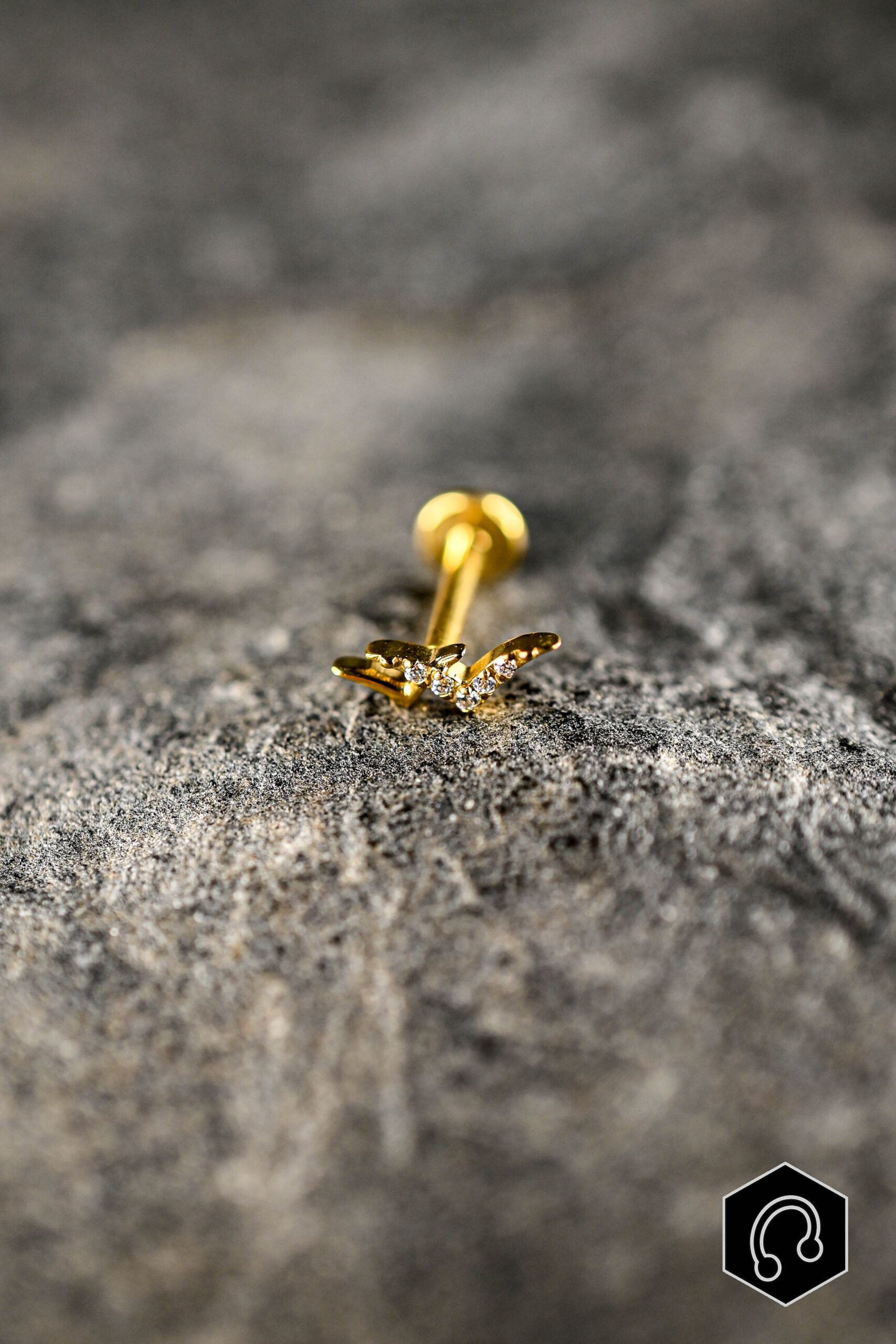 Labret Titane Golden Drift