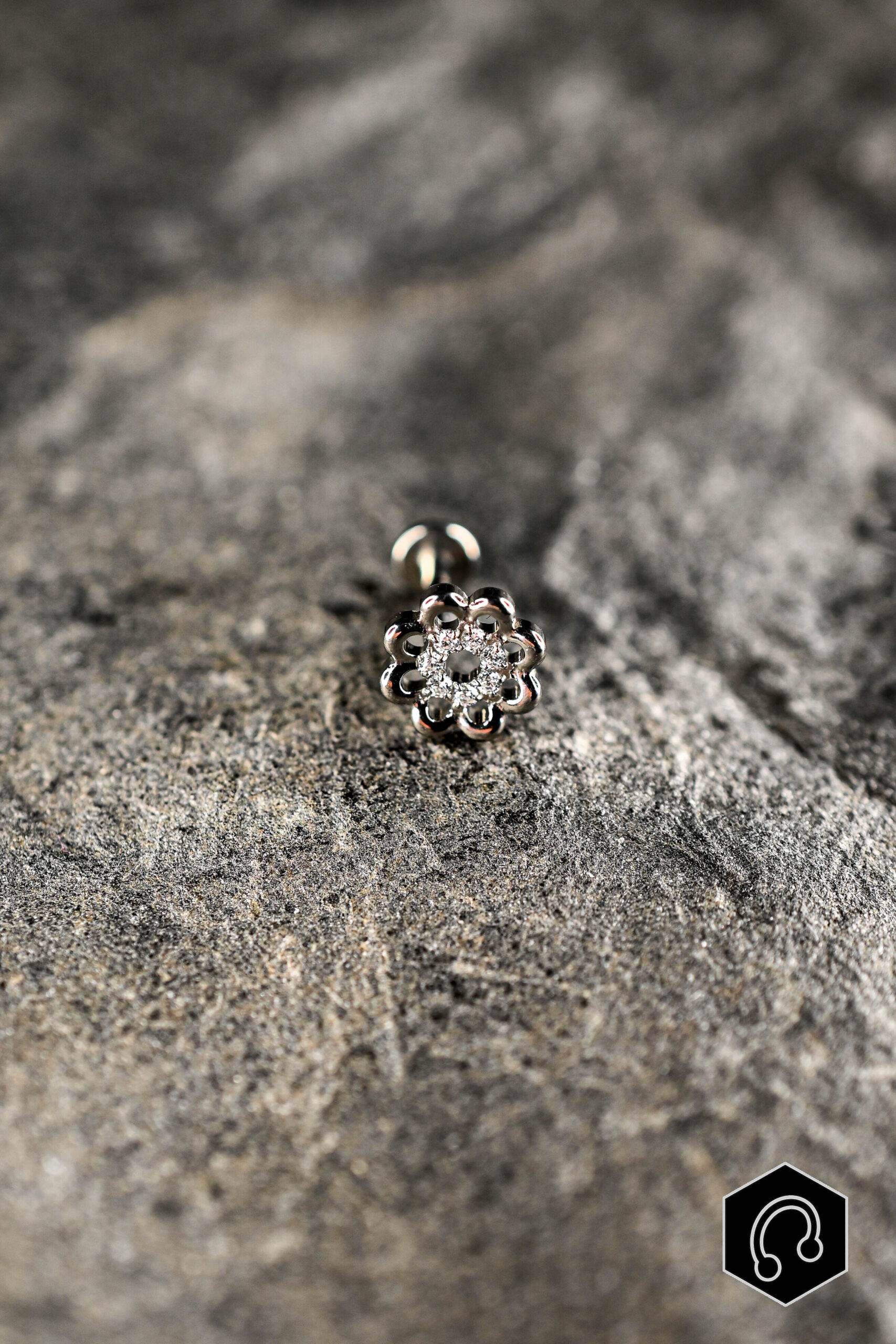 Labret Titane Silver Daisy