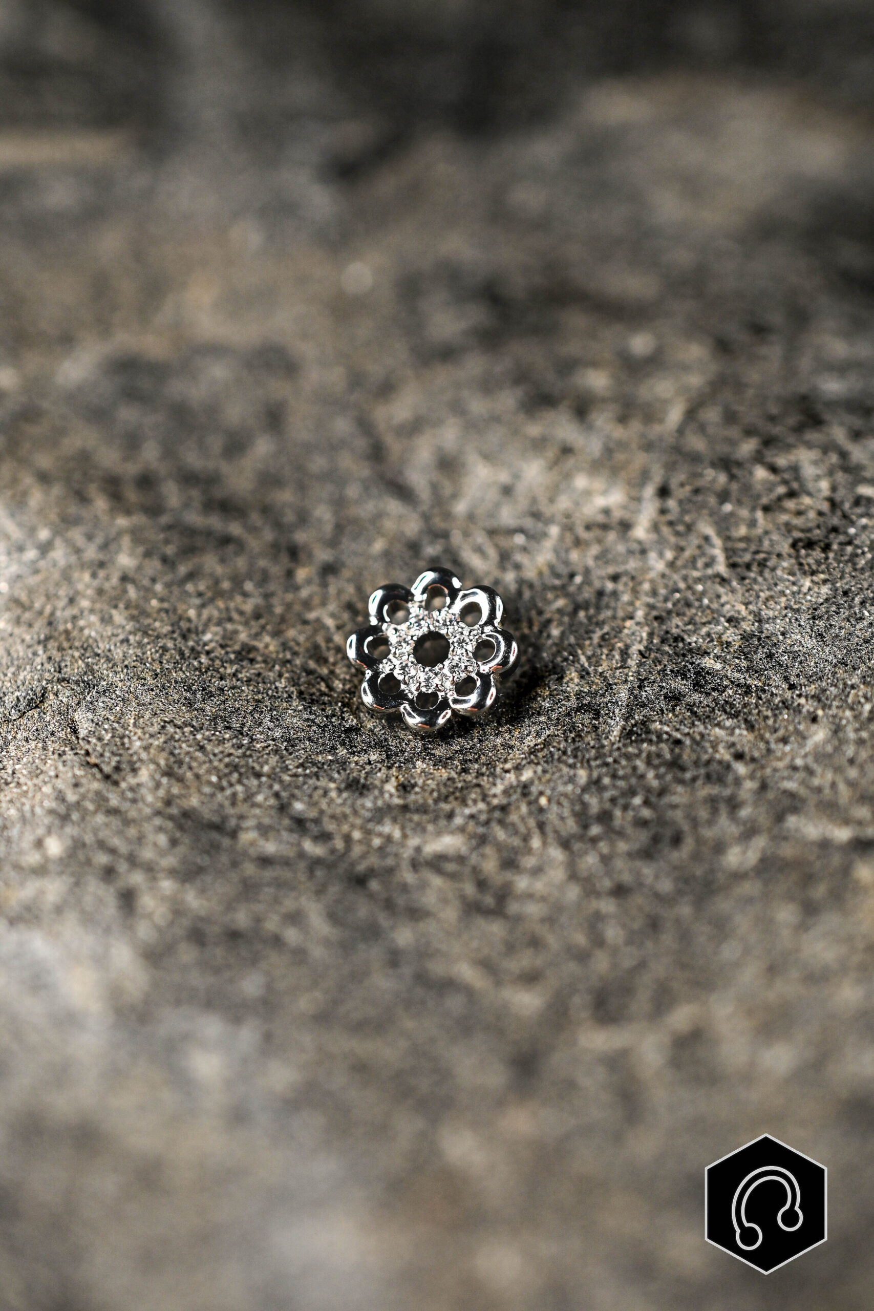 Labret Titane Silver Daisy