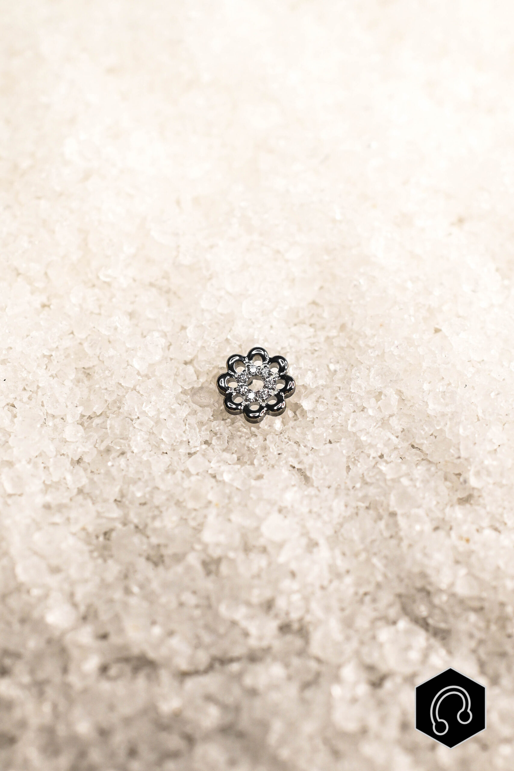 Labret Titane Silver Daisy