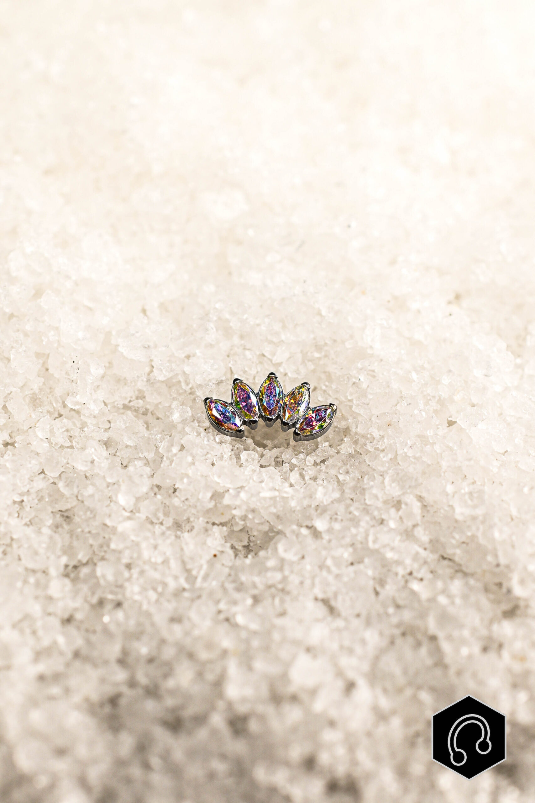 Labret Titane Velvet Crown Abalone