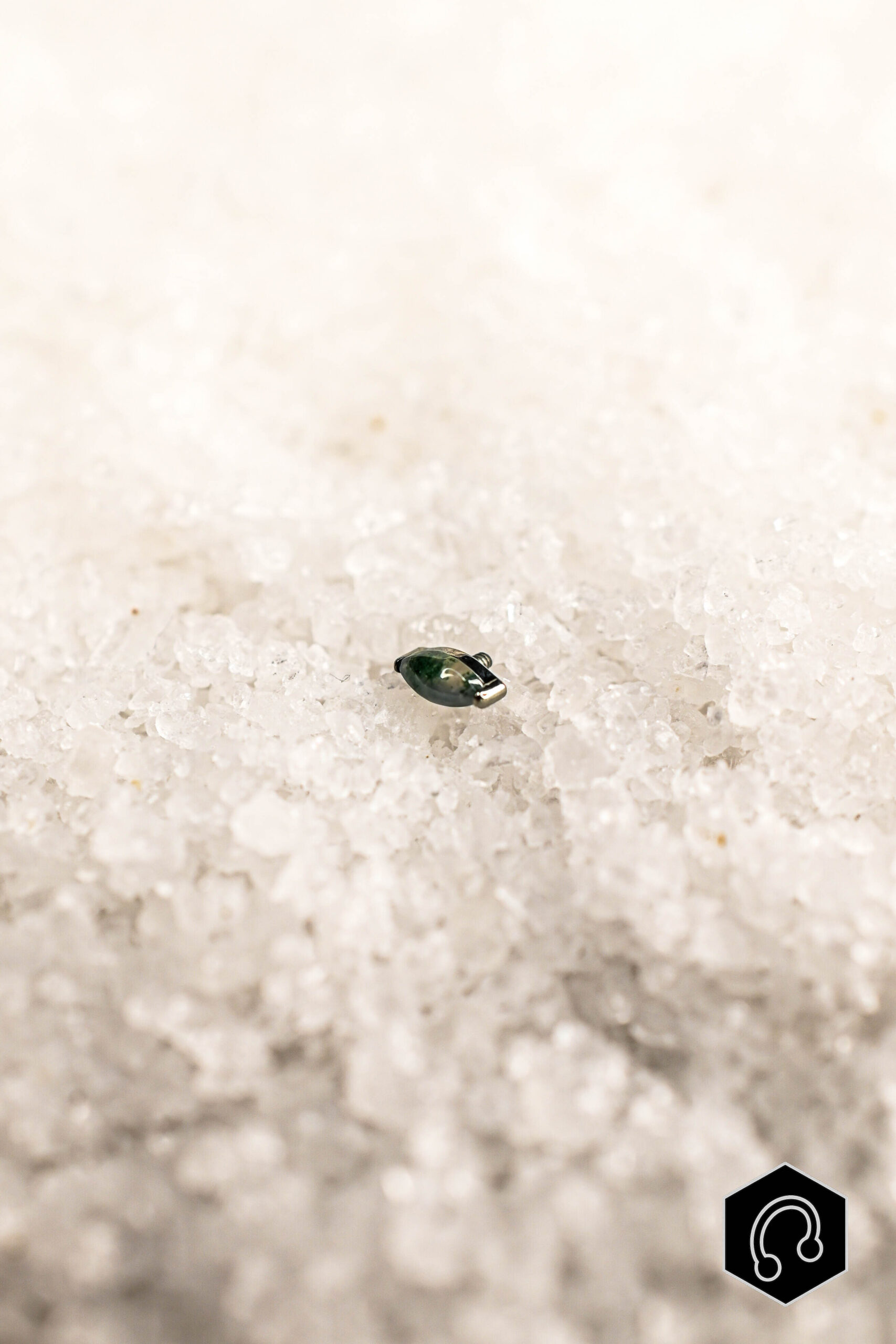 Labret Titane Argenté Moss Essence