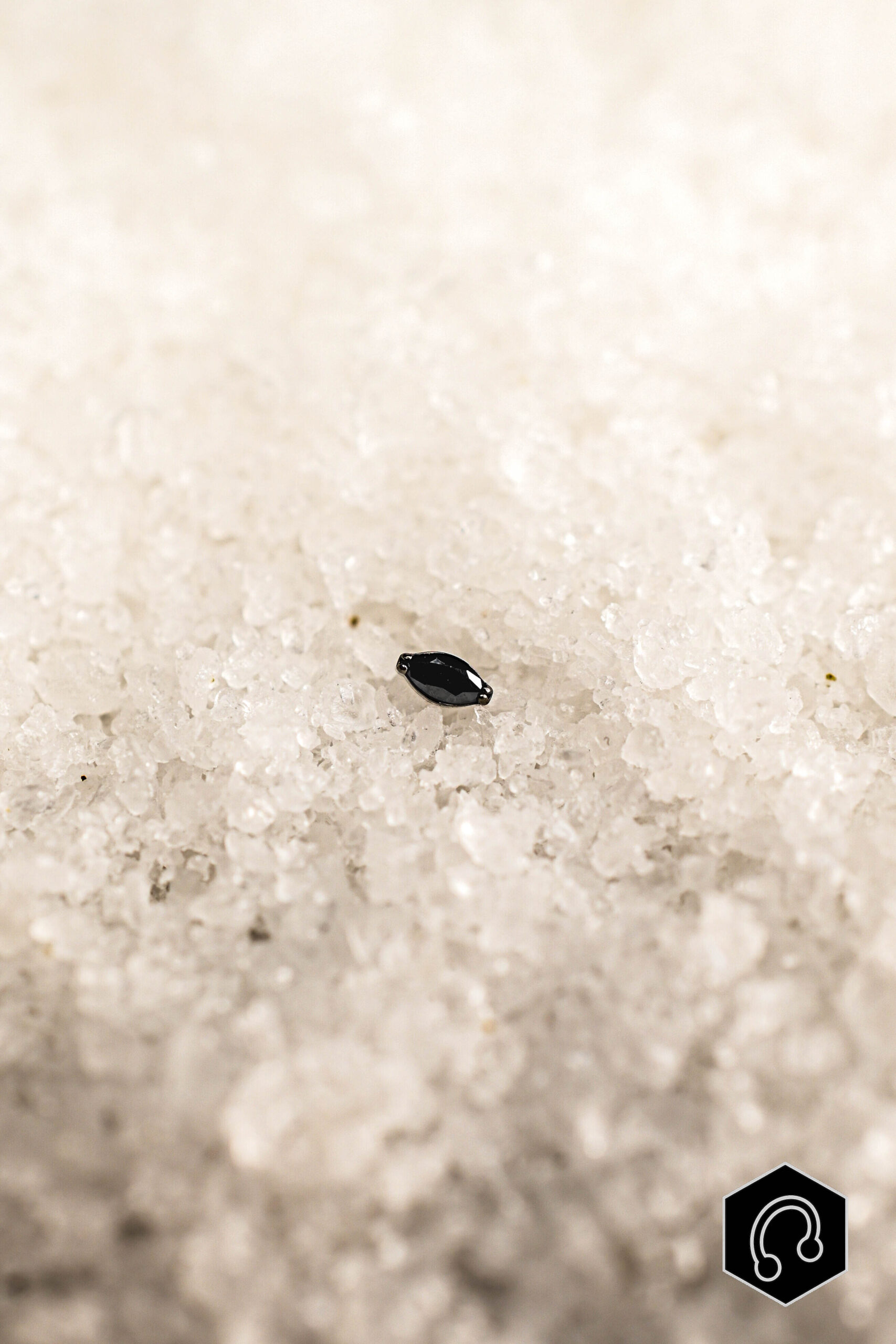 Labret Titane Argenté Noir Whisper