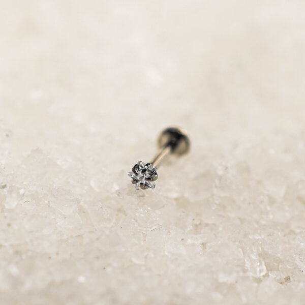 Strass titane argenté Starflower