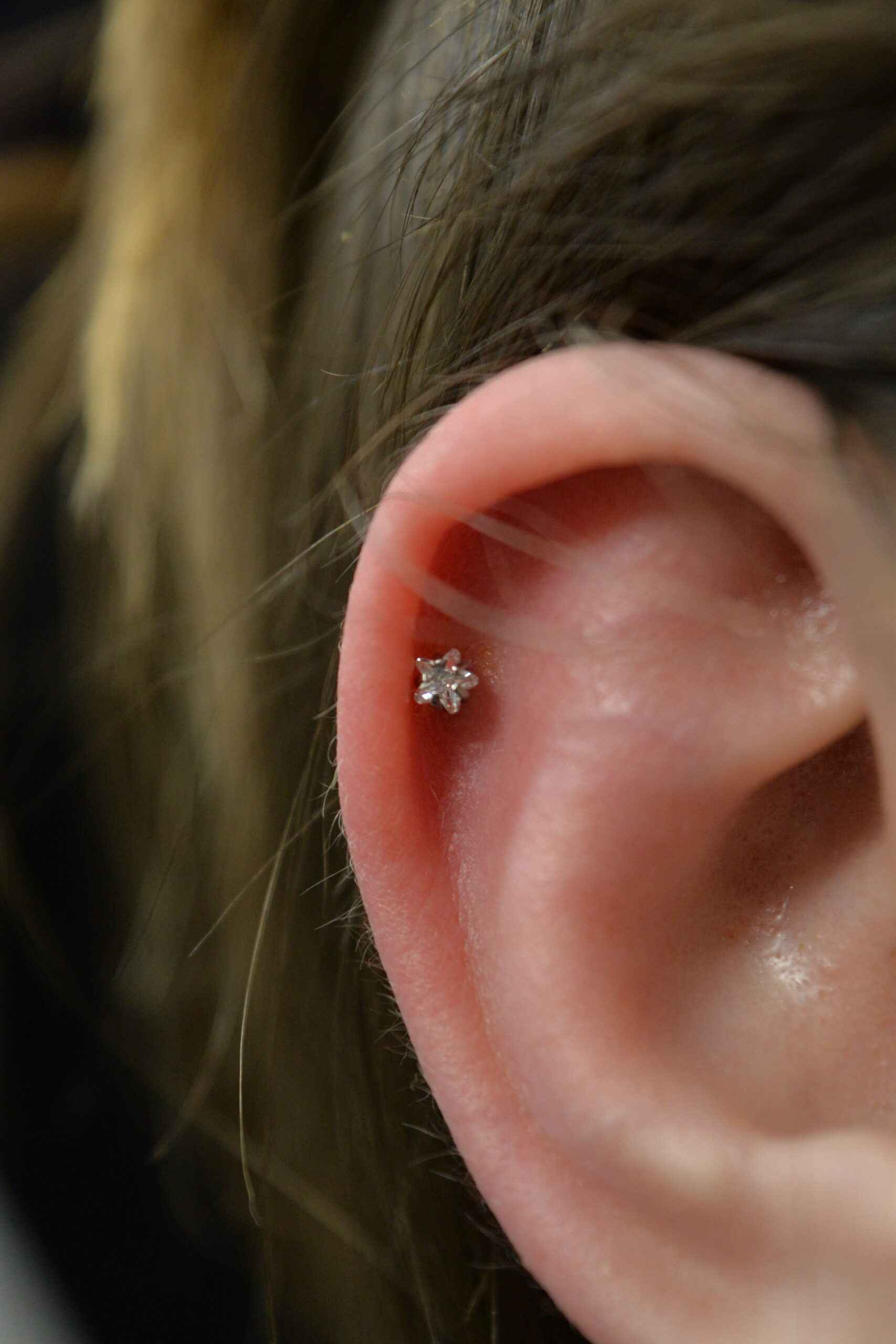 Labret Titane Argenté Starflower