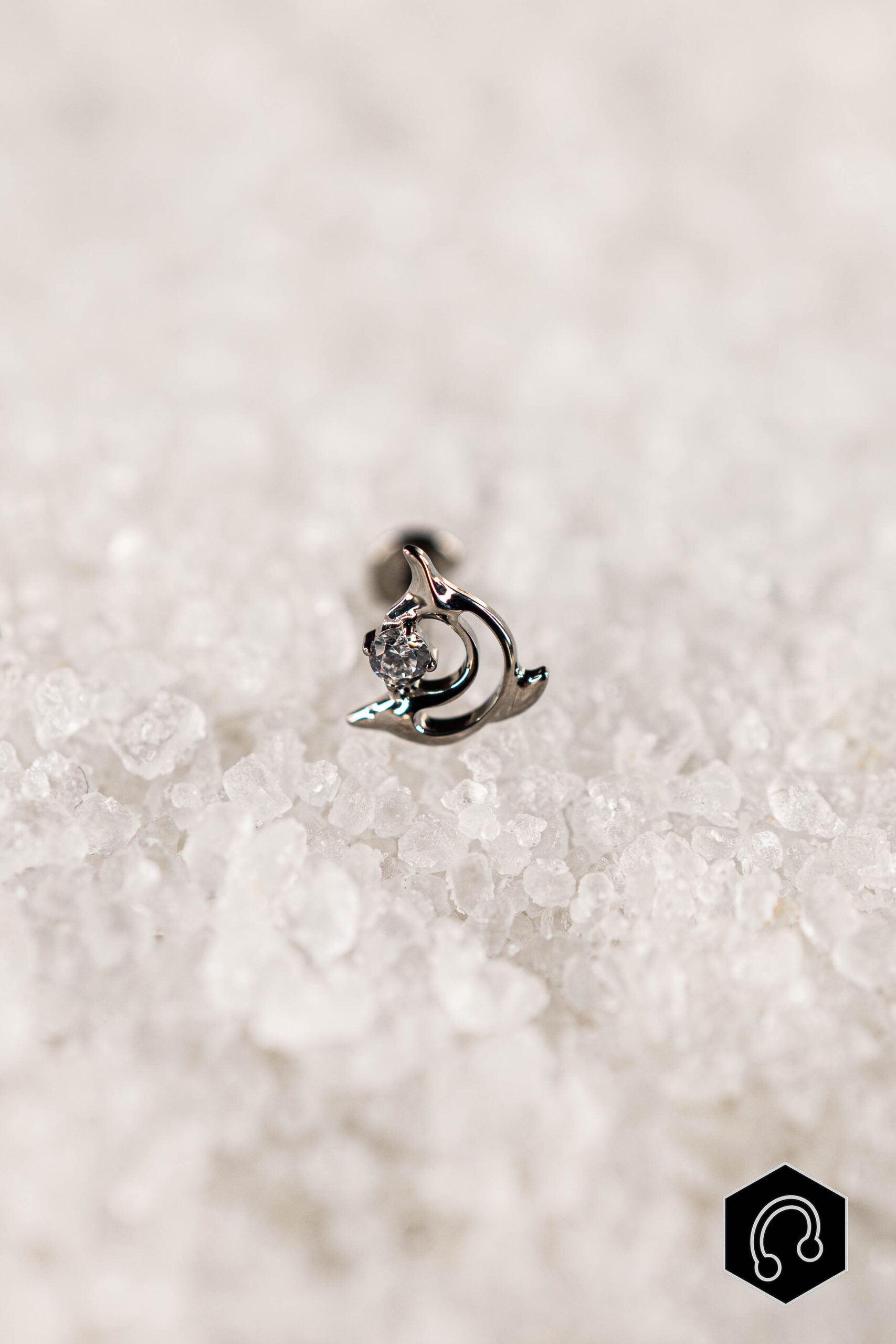 Labret Titane argenté Delphya