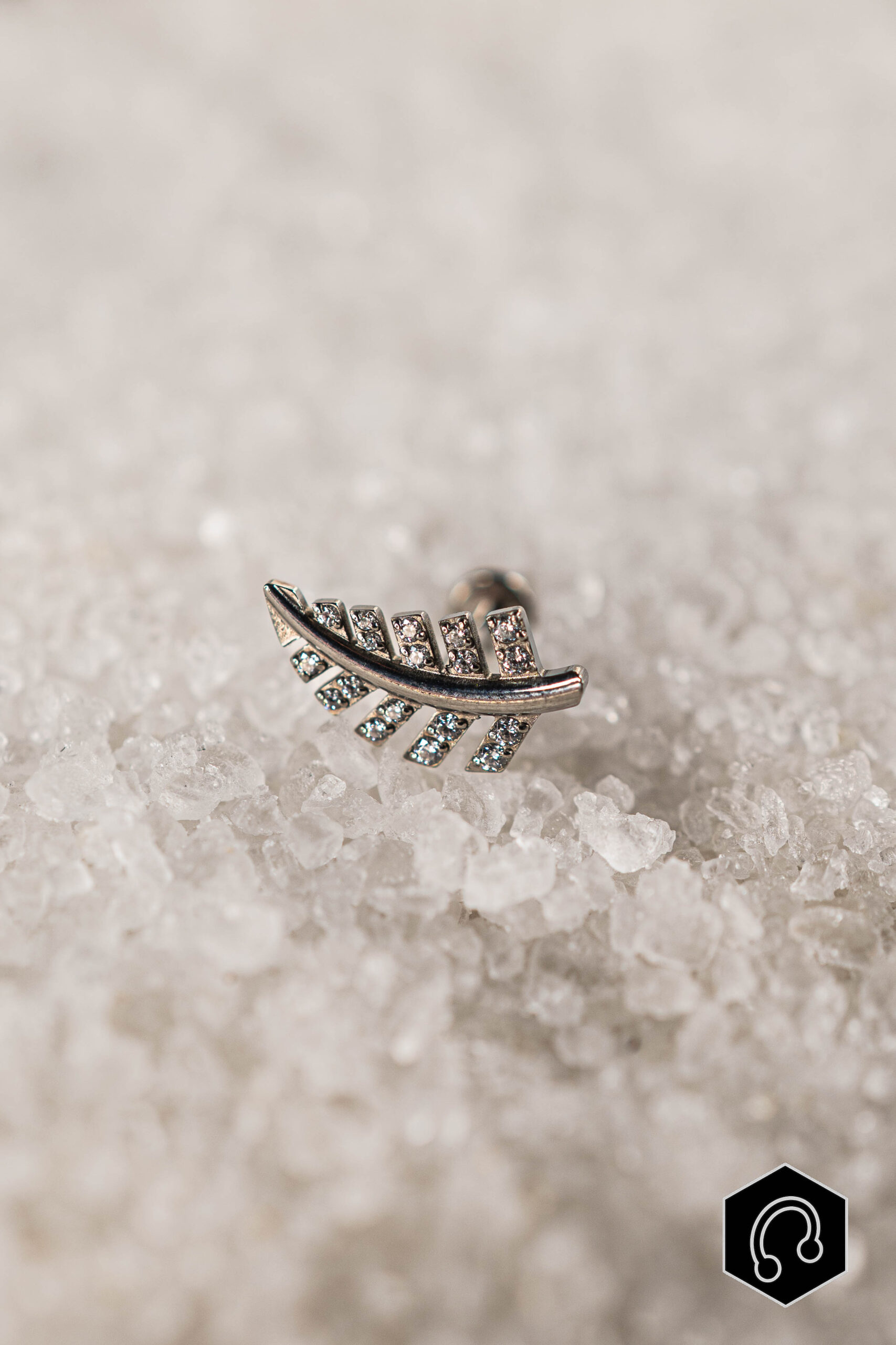 Labret Titane argenté Silvara Leaf