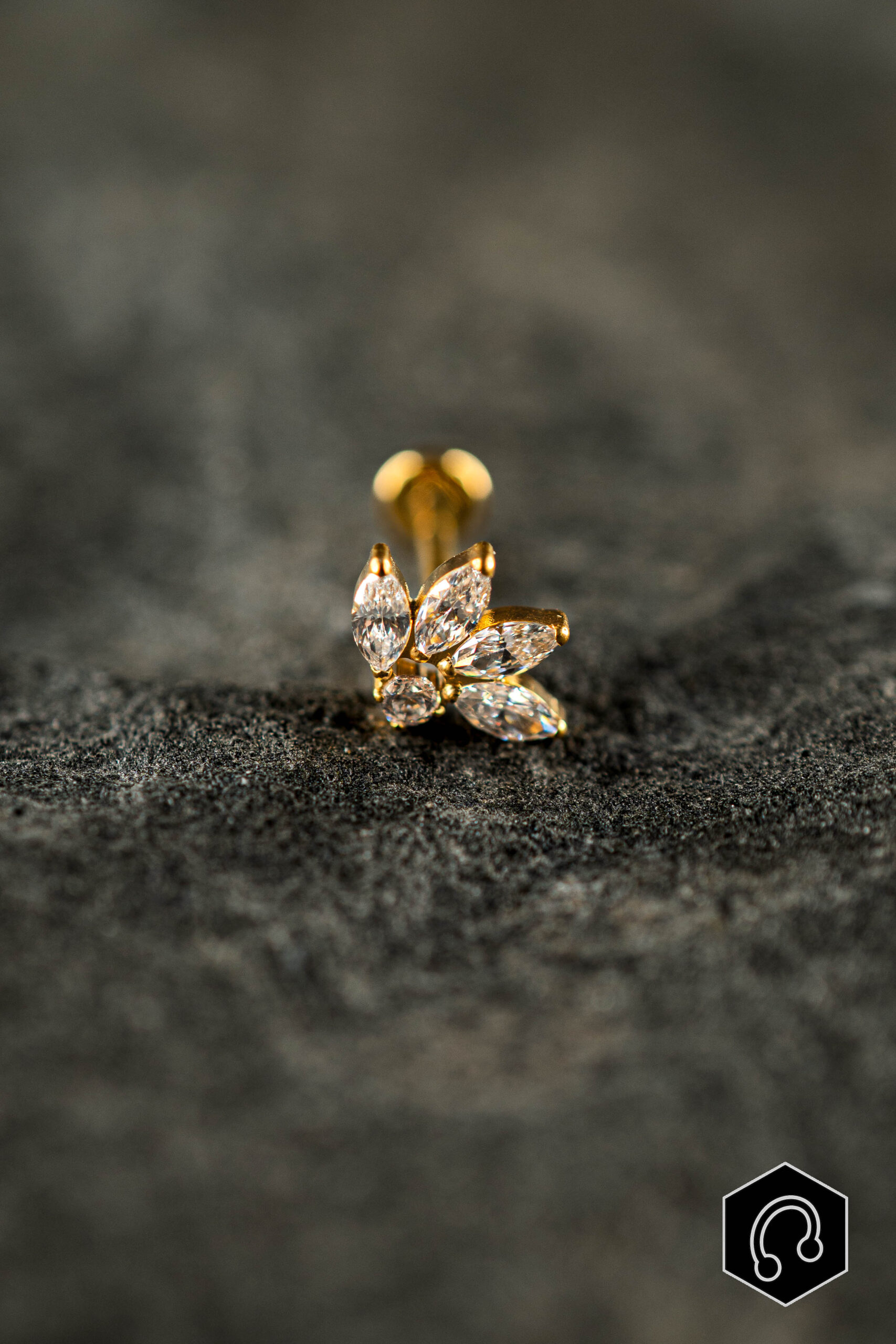 Labret Titane Doré Elmyra Bloom