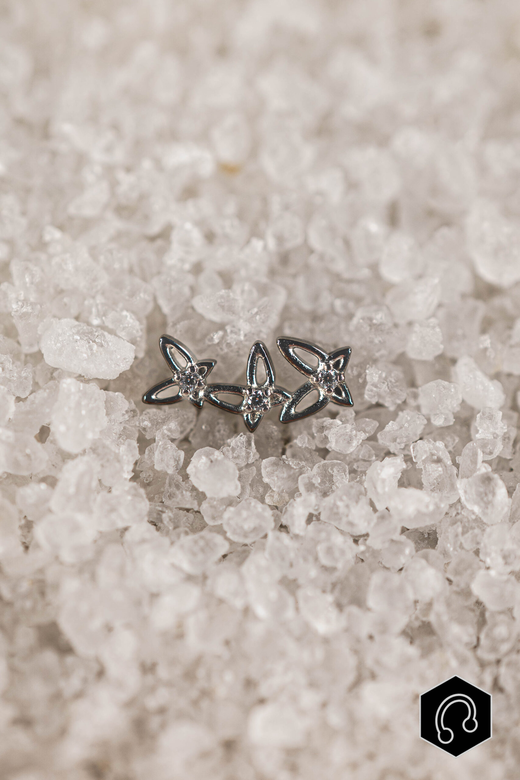 Labret Titane Argenté Sylva Bloom