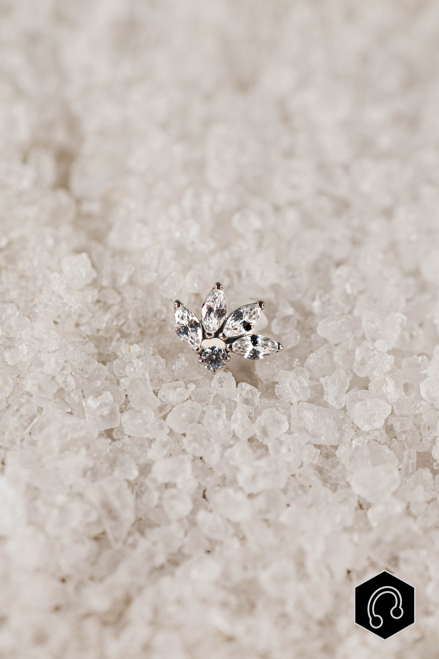 Labret Titane Argenté Elmyra Bloom