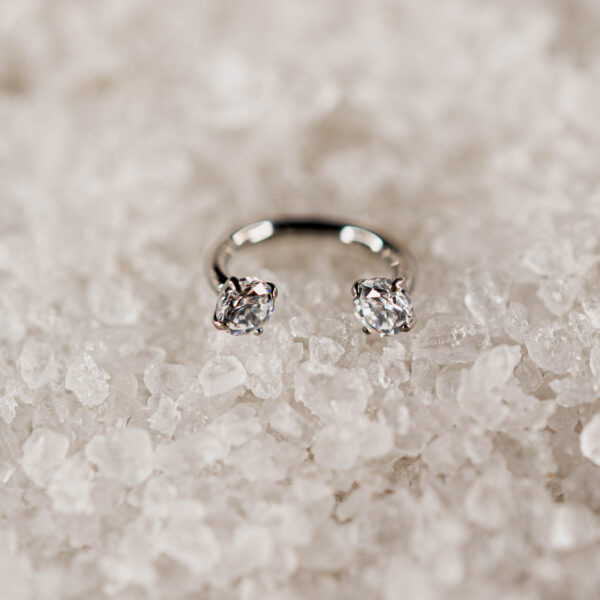 Fer à Cheval Titane Argenté Elenya Duo