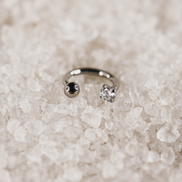 Fer à cheval titane argenté Elenya Mix