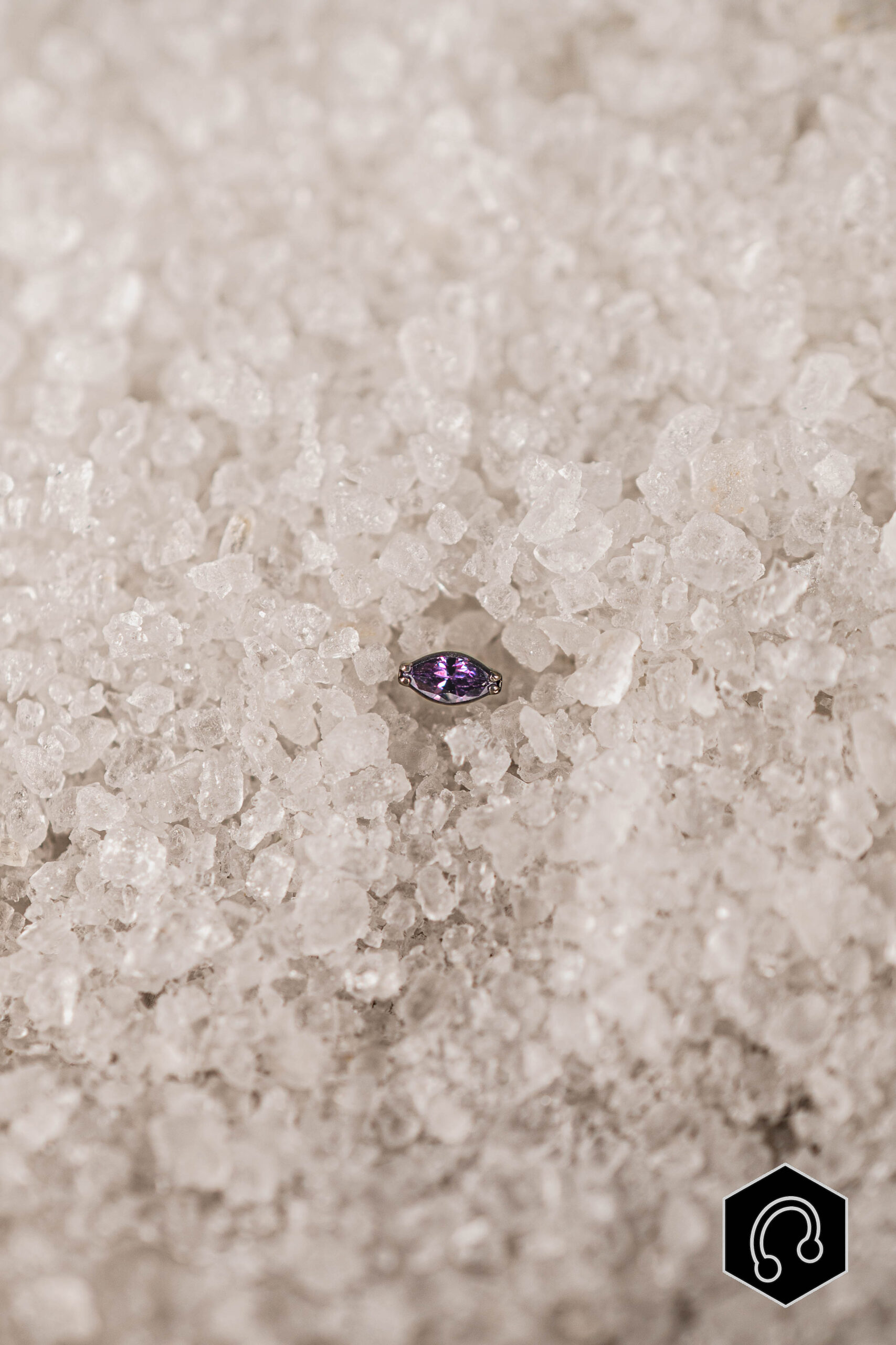 Labret Titane Violet Whisper