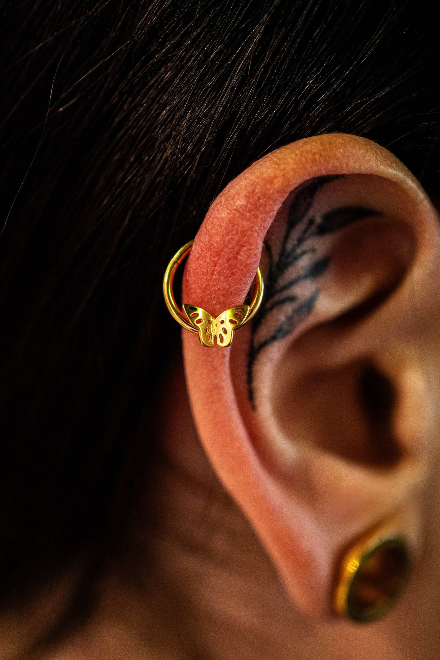 Anneau Clicker Titane Papillia Gold