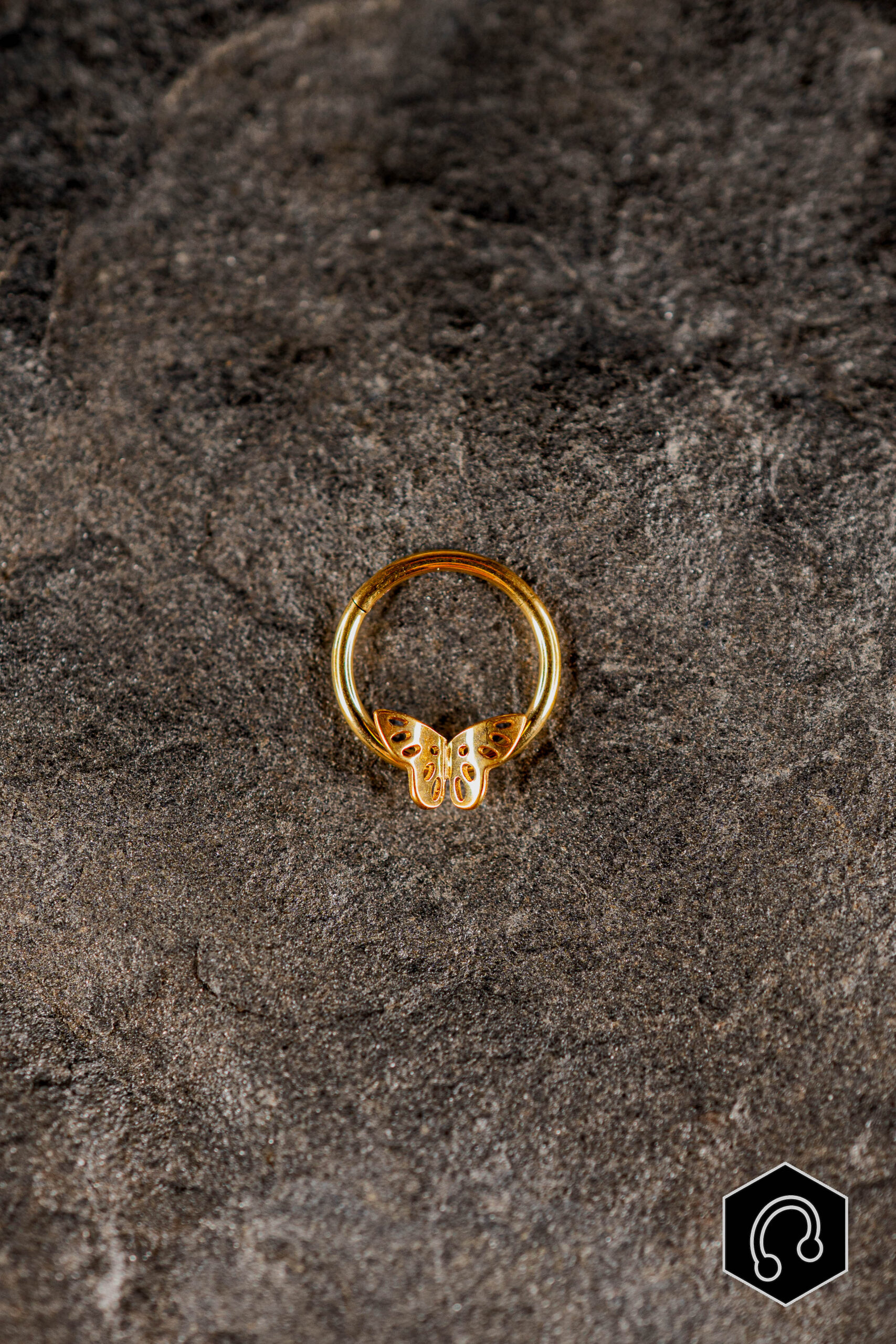 Anneau Clicker Titane Papillia Gold