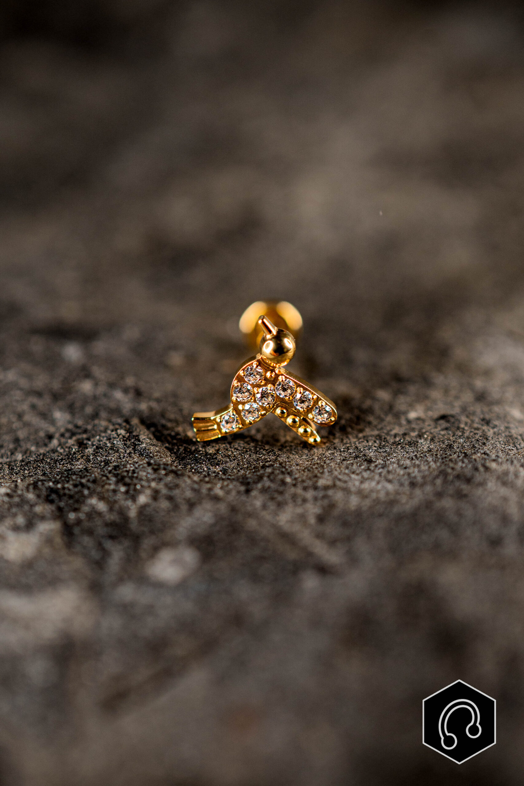 Labret Titane Doré Colibrias