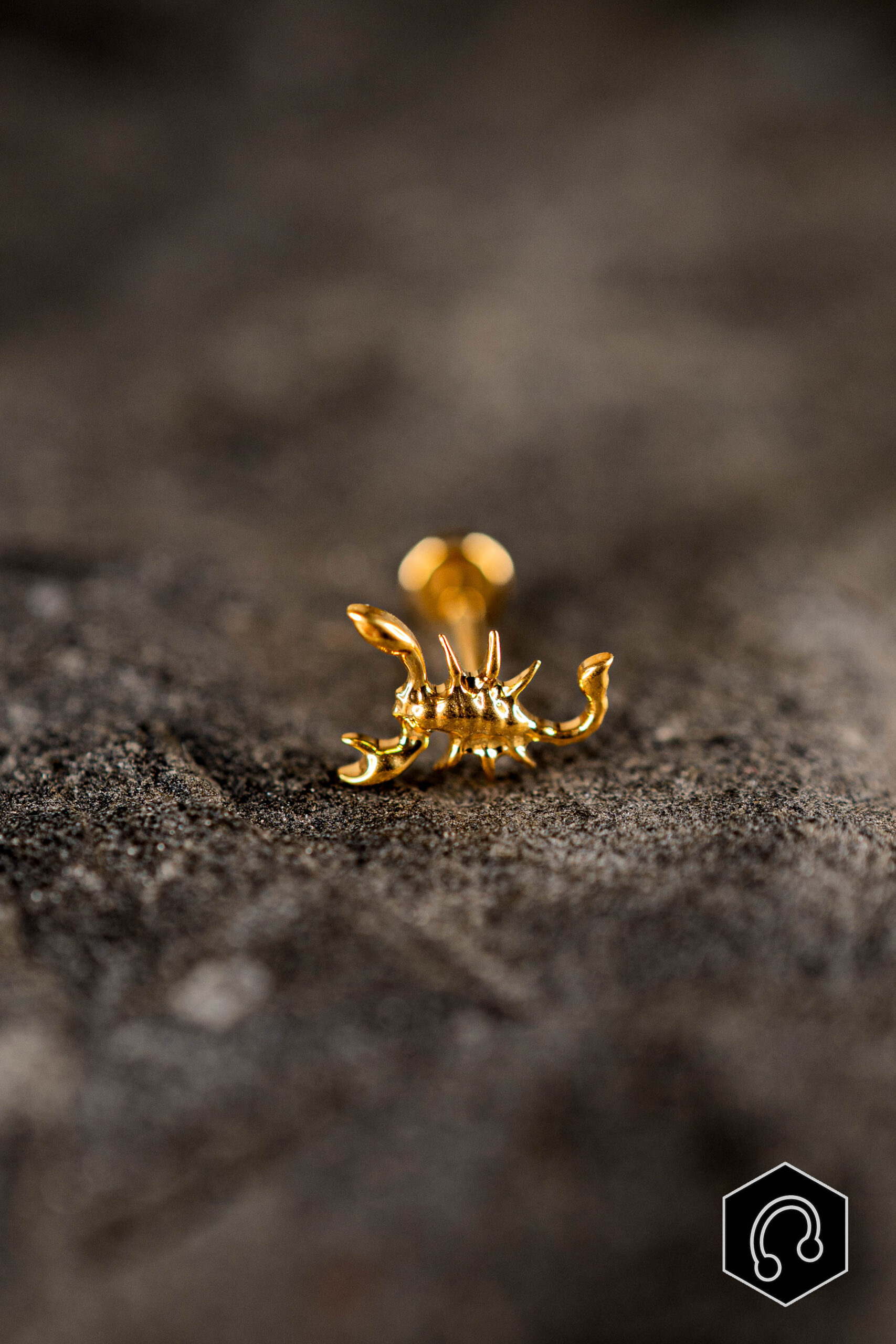Labret Titane Doré Scorpion