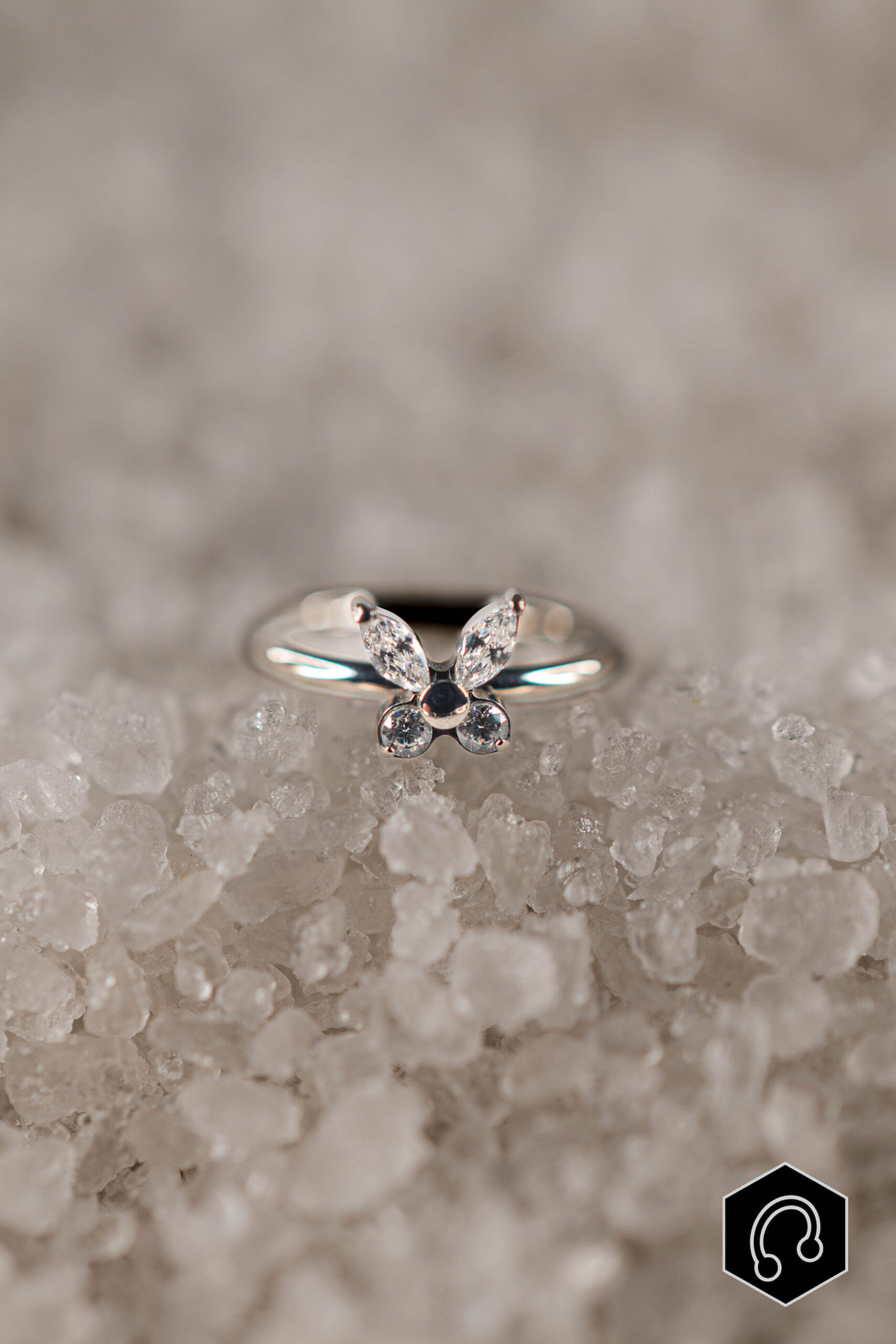 Anneau Clicker Argenté Papilia Shine