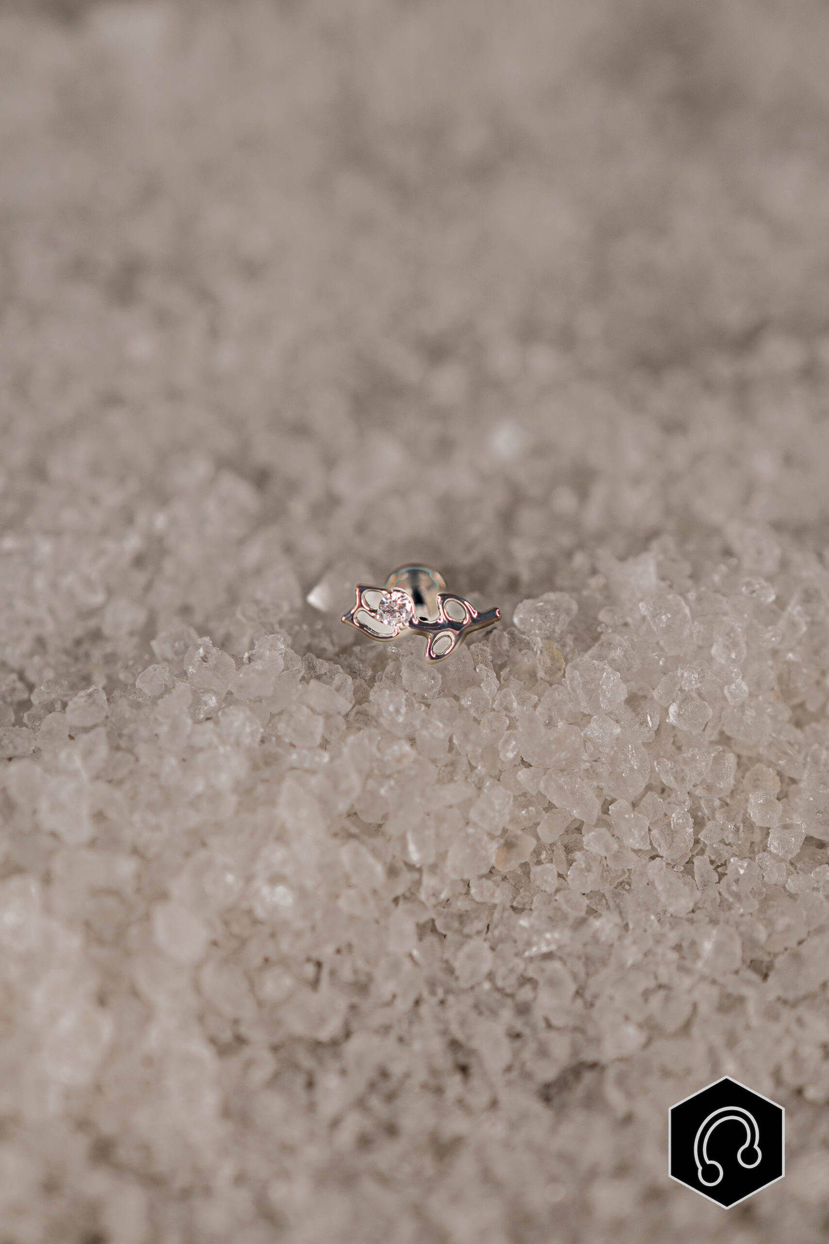 labret titane argenté Sylva Shine