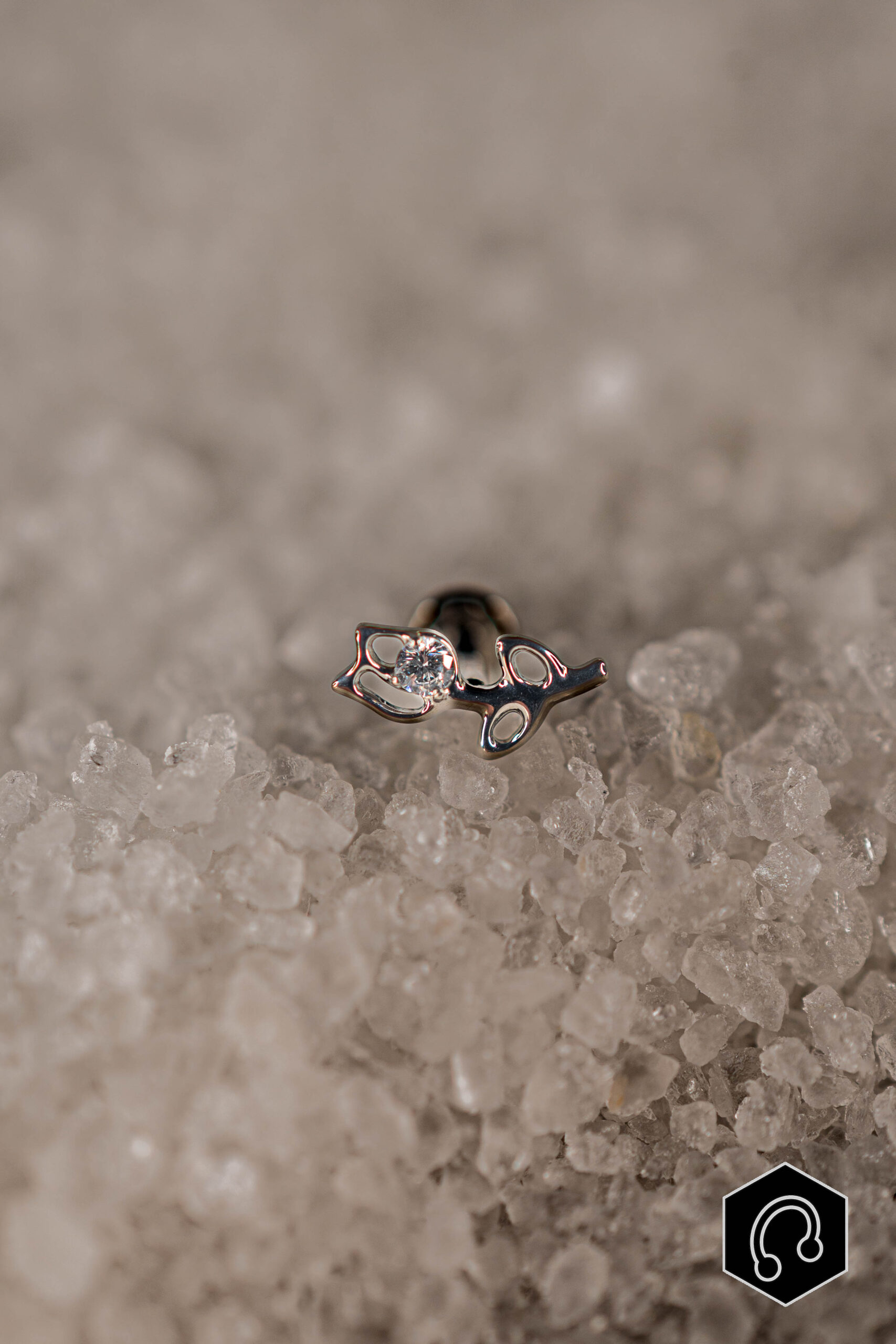 labret titane argenté Sylva Shine