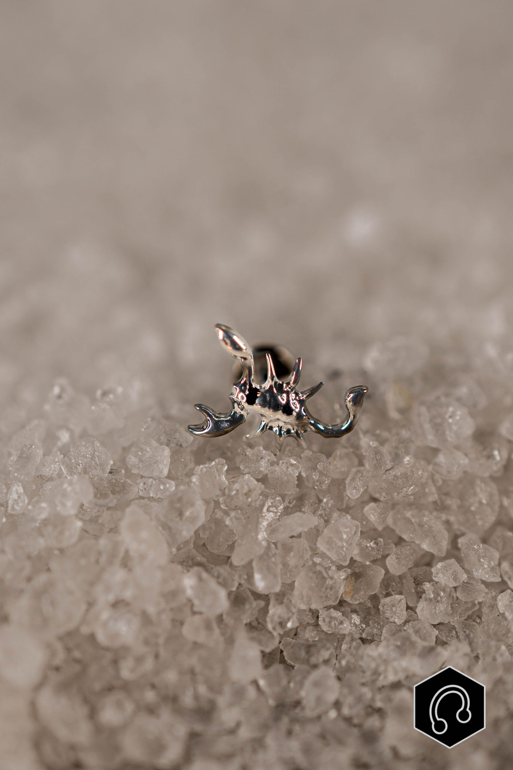 Labret Titane Argenté Scorpion