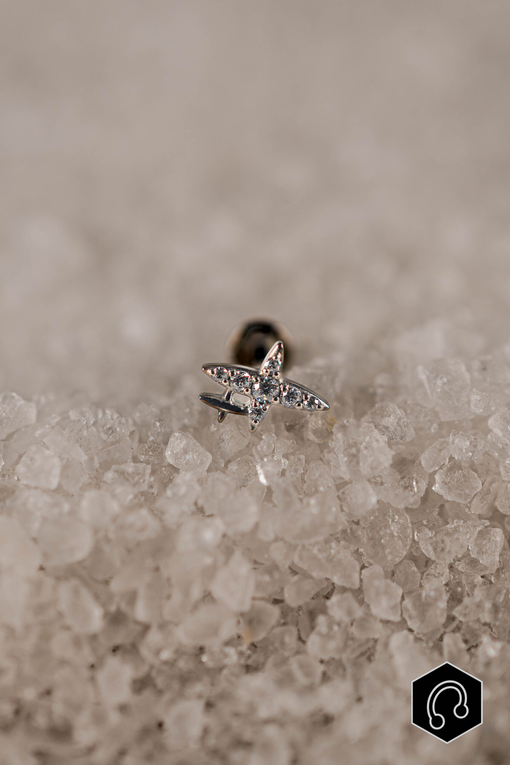 Labret titane argenté Starline