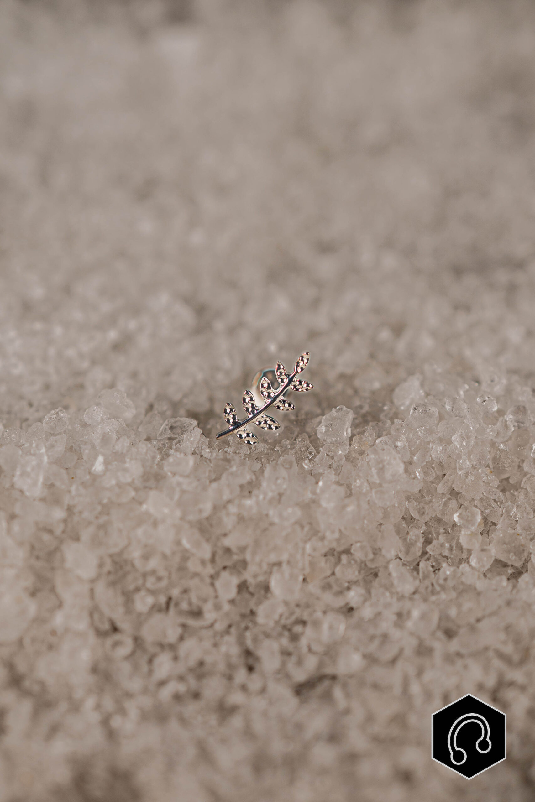 Labret Titane Argenté Ivy Leaf