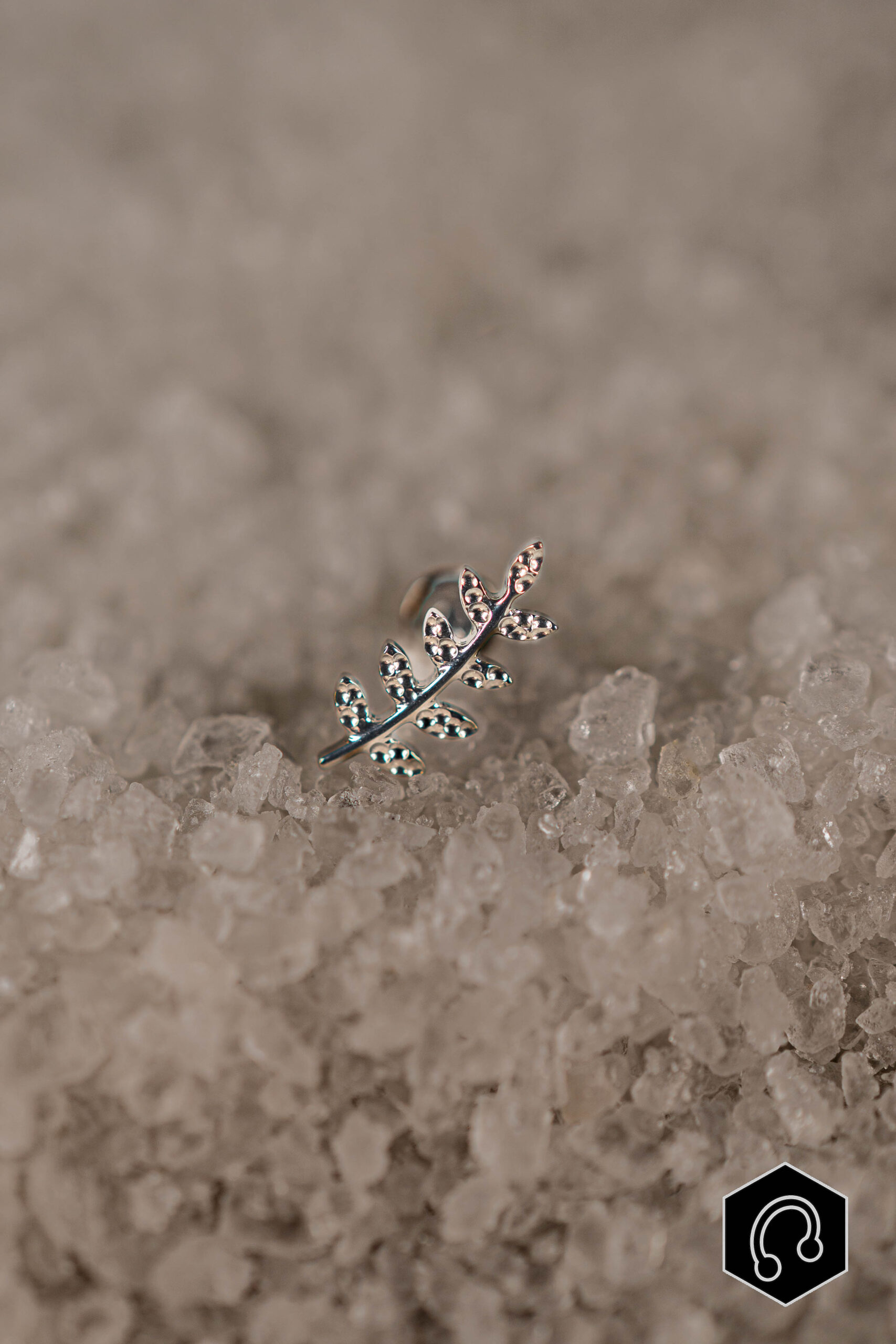 Labret Titane Argenté Ivy Leaf