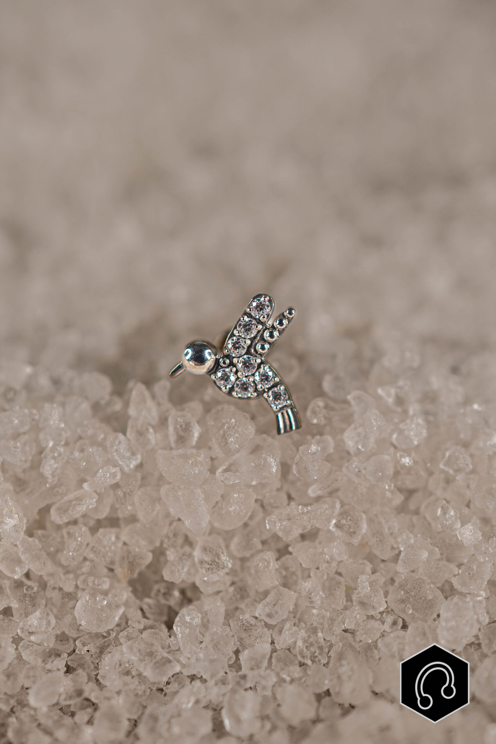 Labret Titane Argenté Colibrias